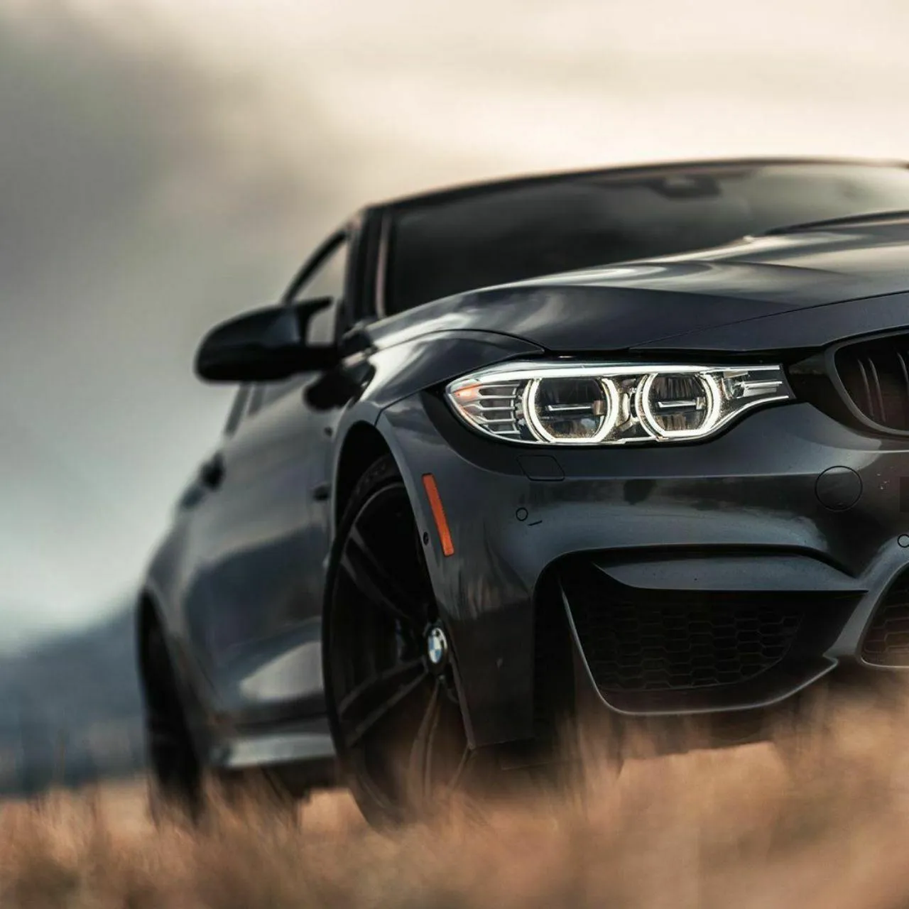 Front Closeup of a Black Bmw Car on Dry Grass