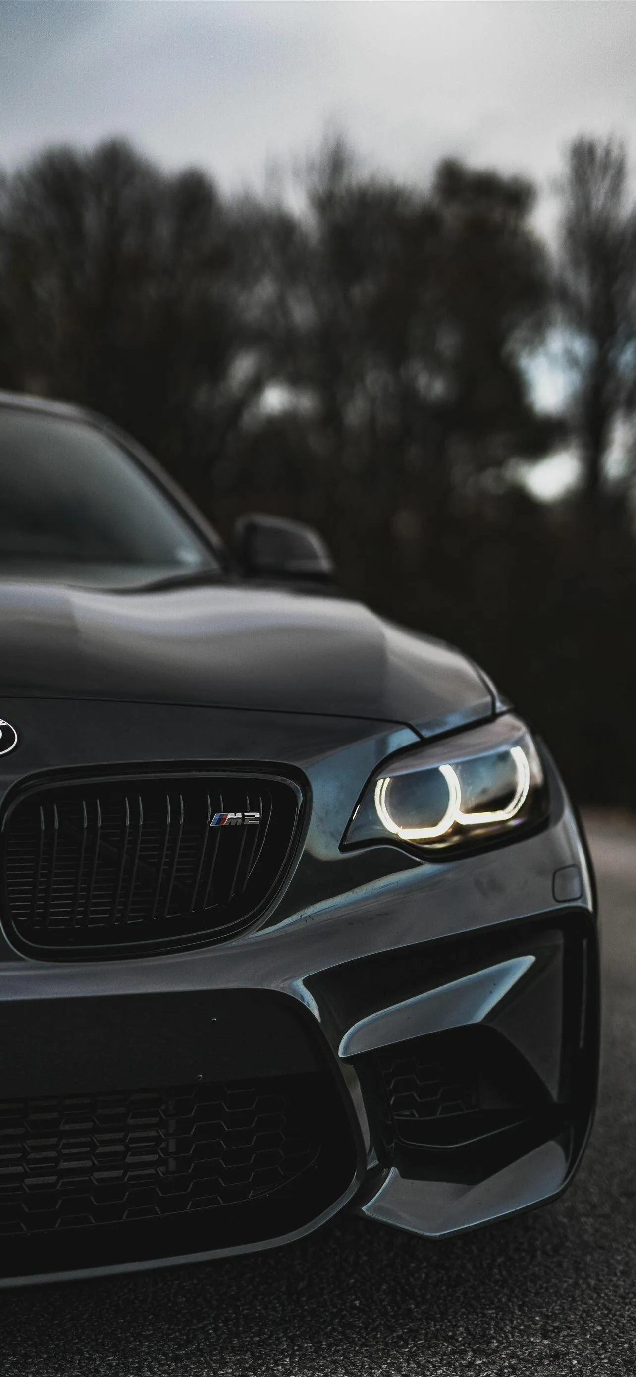 Front Side of Black Bmw M Model in a Dimmed Forest