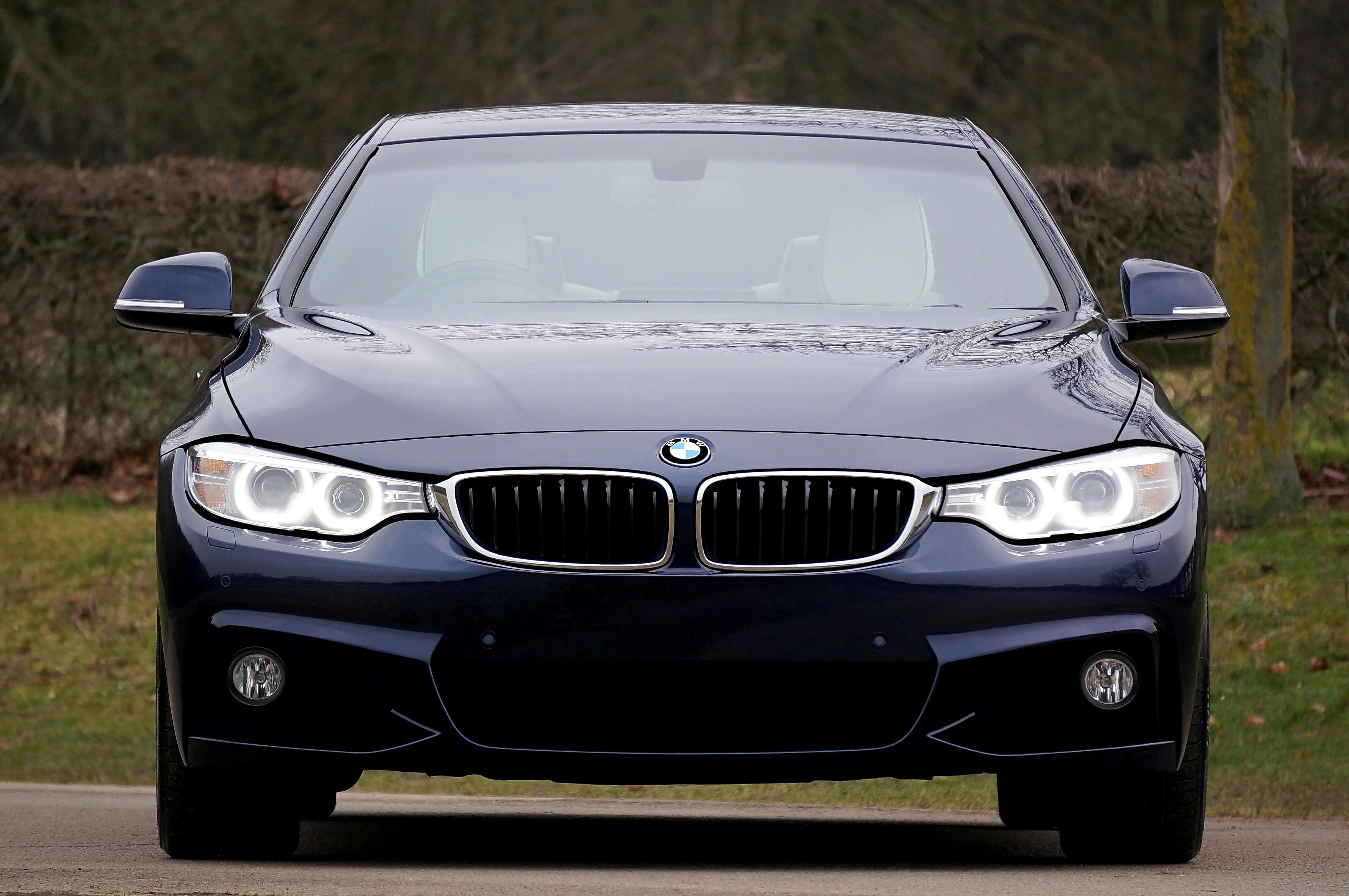 Front View of a Silver Bmw Parked on Grass Near Forest