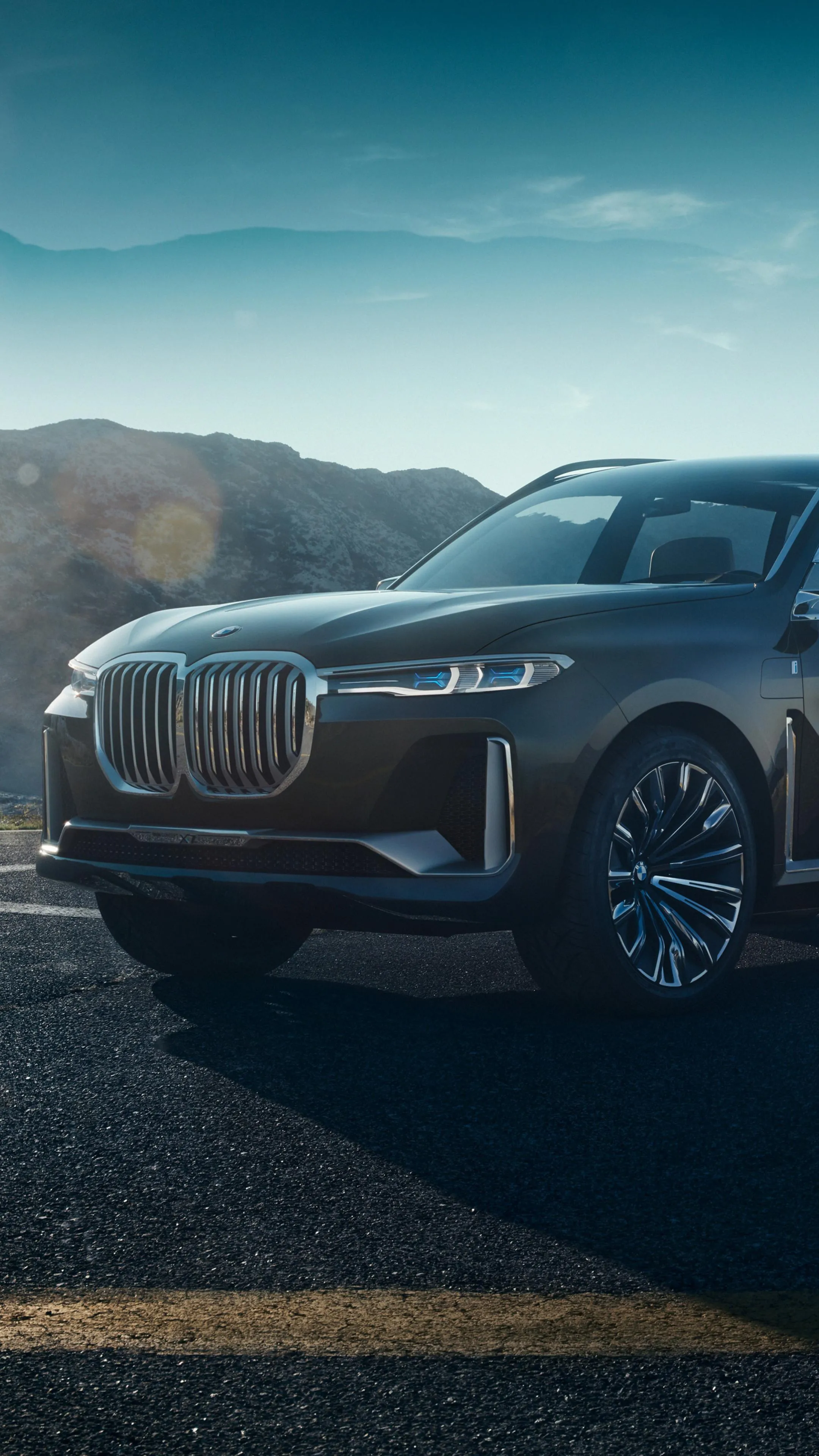 Front View of Bmw Grille with Scenic Background Image