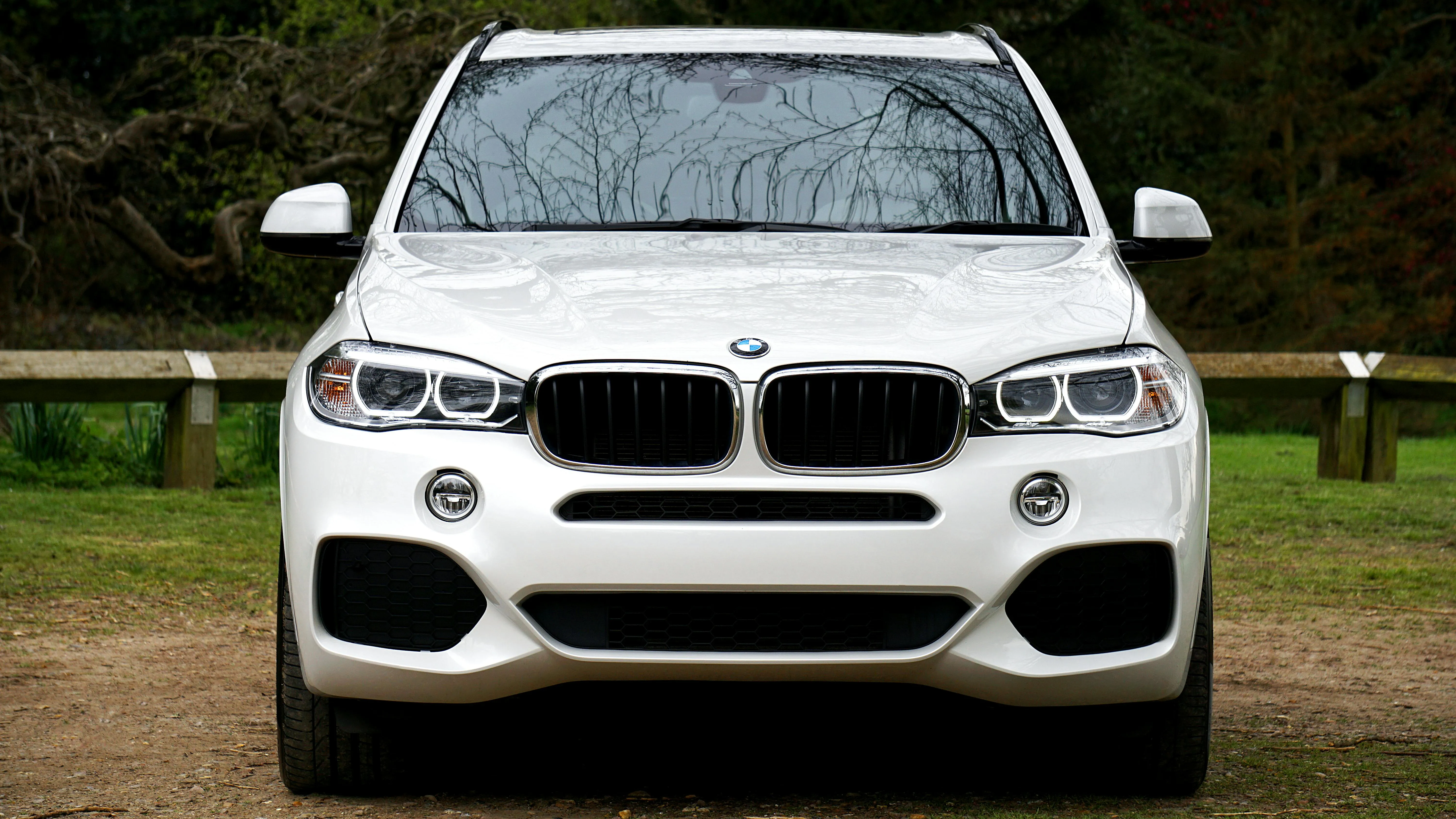 Front View of White Bmw Suv Parked on a Green Lawn