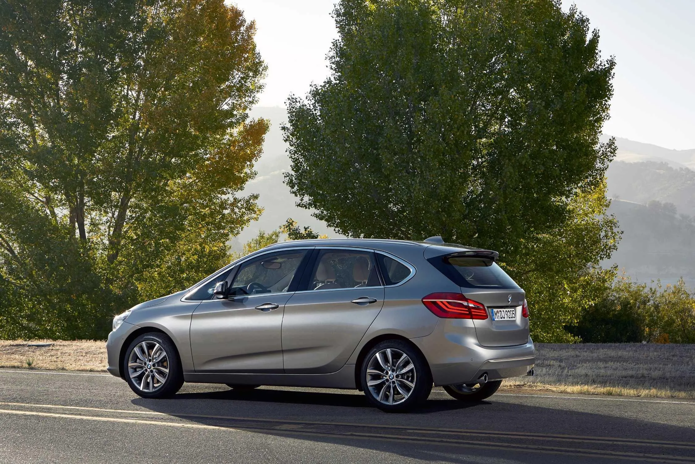 Gray Bmw Hatchback Driving Near Trees and Mountains