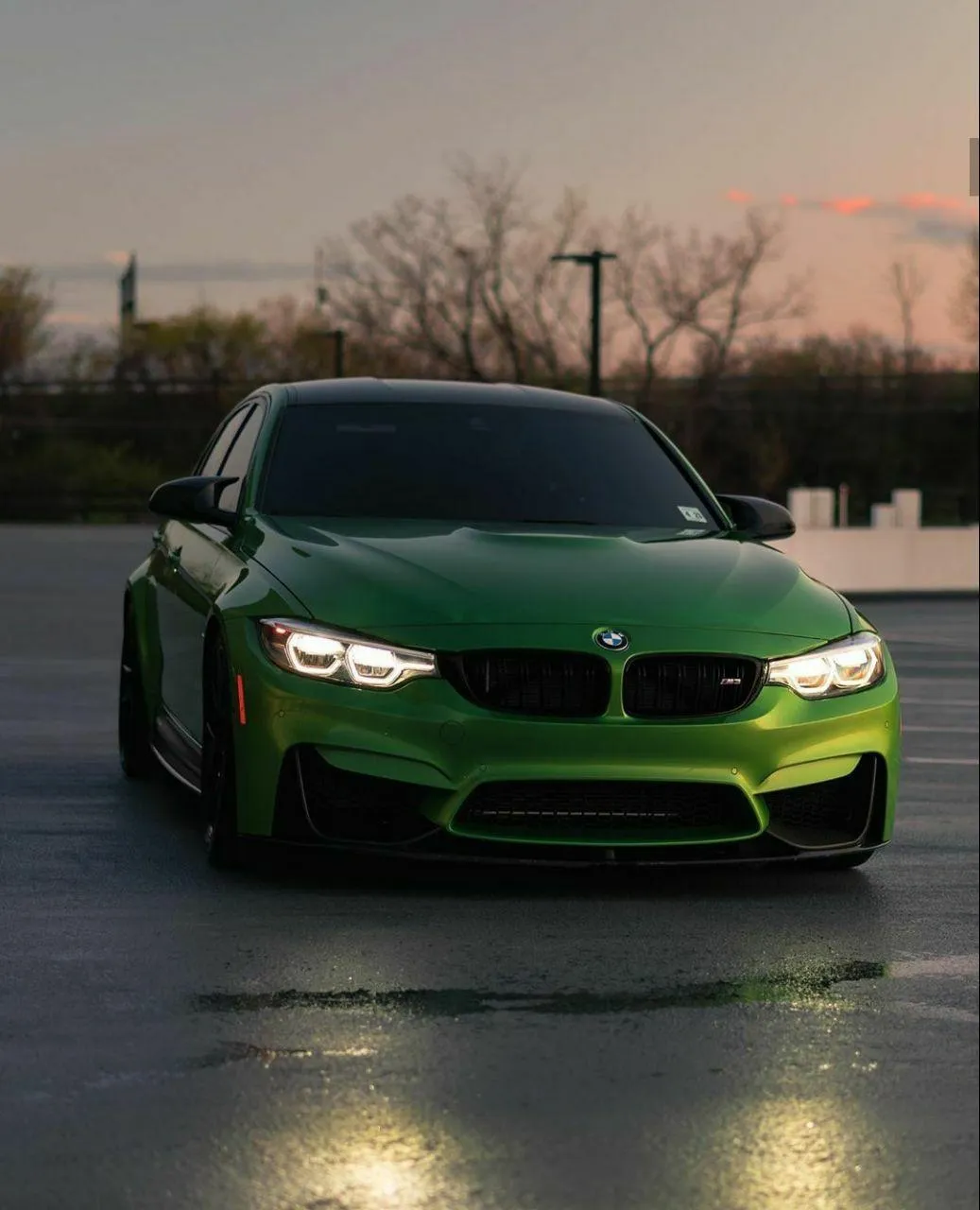Green Bmw Sedan Parked Outside Under Evening Light