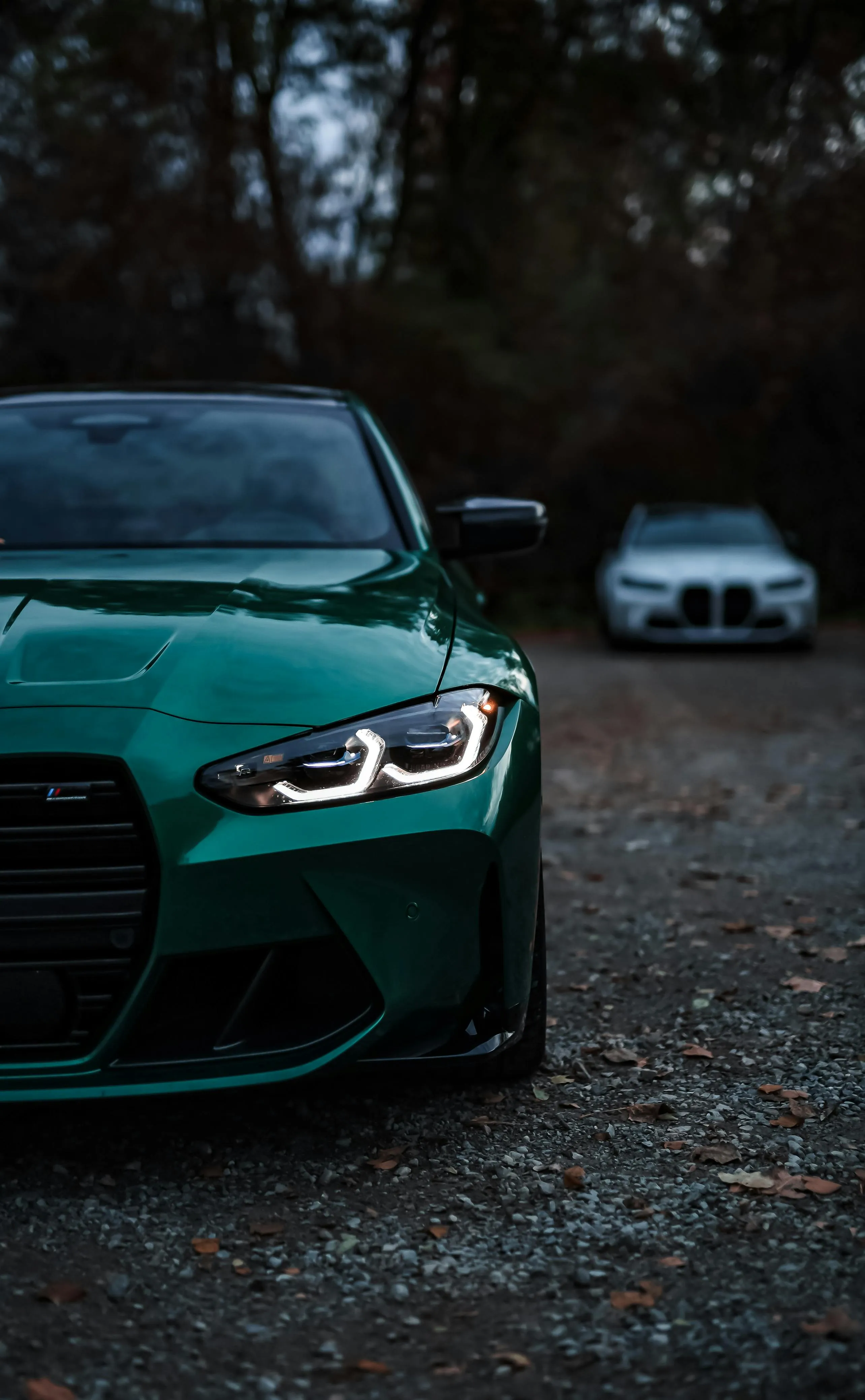 Green Bmw Sports Car in Low Light with Dark Forest Background