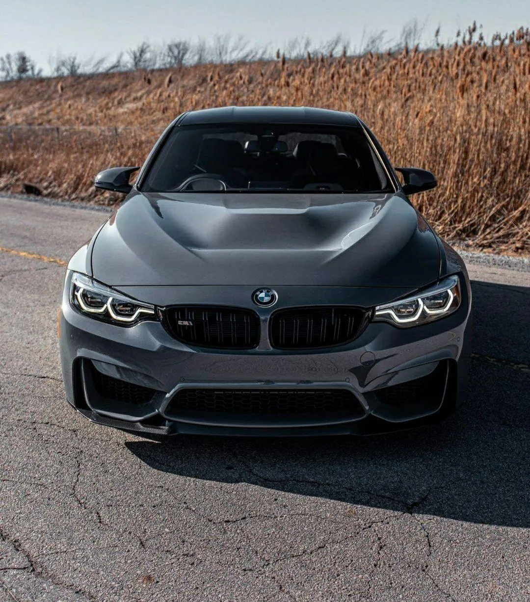 Grey Bmw Sedan Parked on a Desert Road Under Sun Image