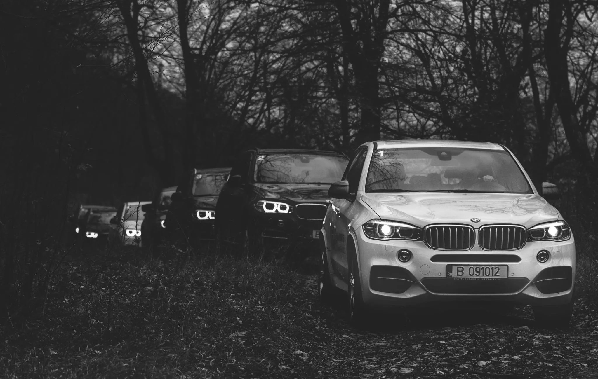 Line of Bmw X5 Cars on a Misty Road at Dusk