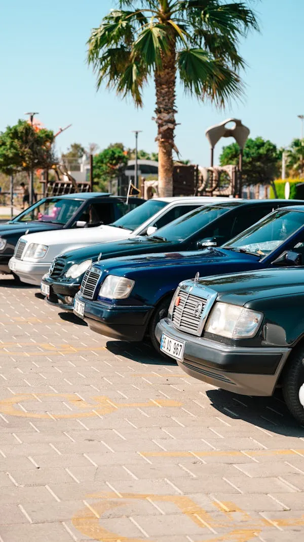 Lineup of Mercedes Benz Vehicles in Sunny Parking Lot