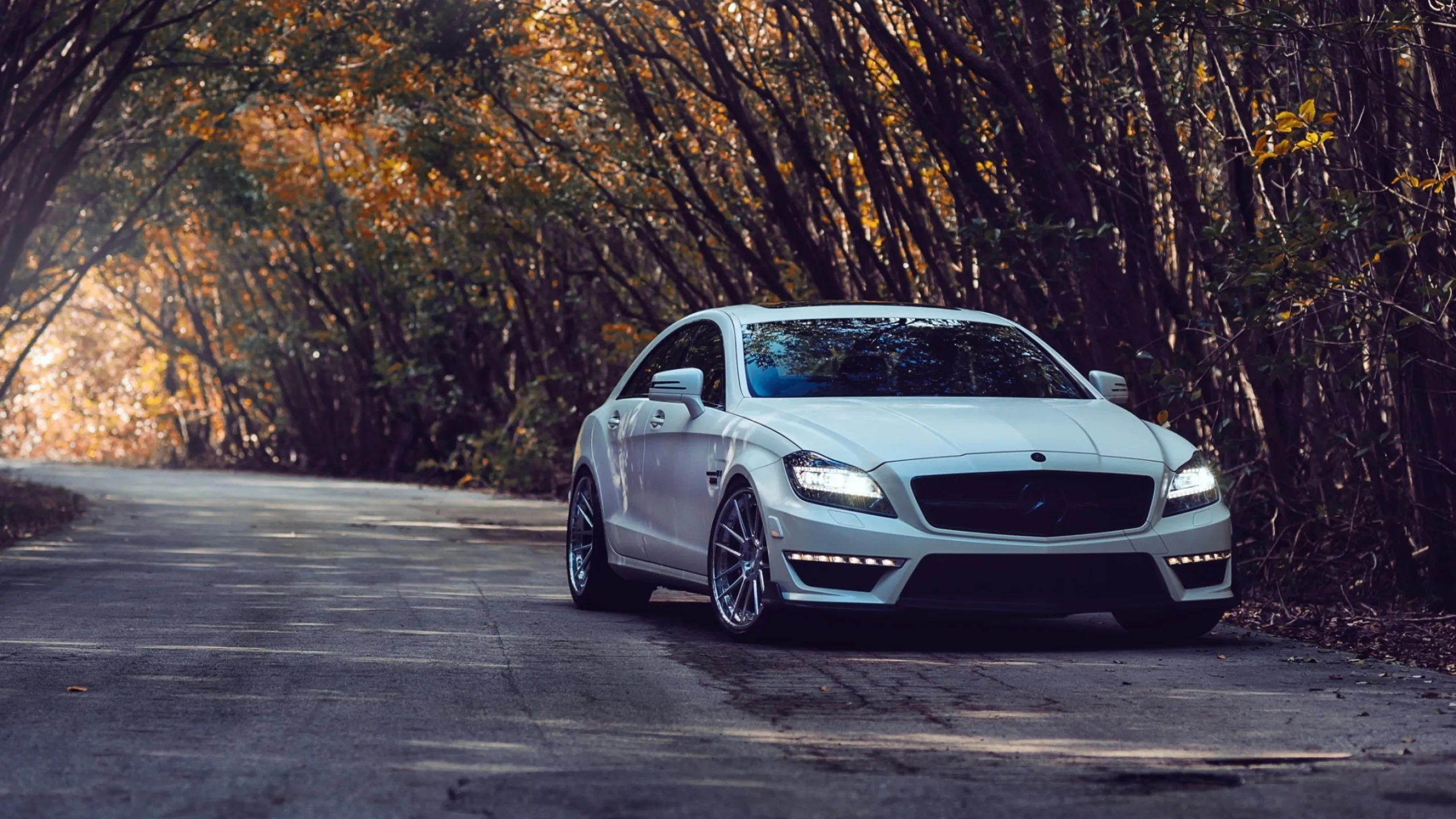 Luxury Mercedes Sedan Built for Performance and Comfort
