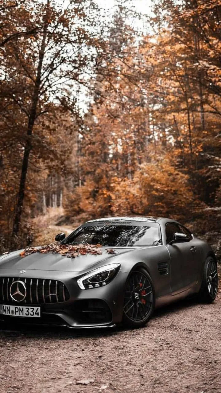 Matte Silver Mercedes Parked in Forest with Autumn Leaves