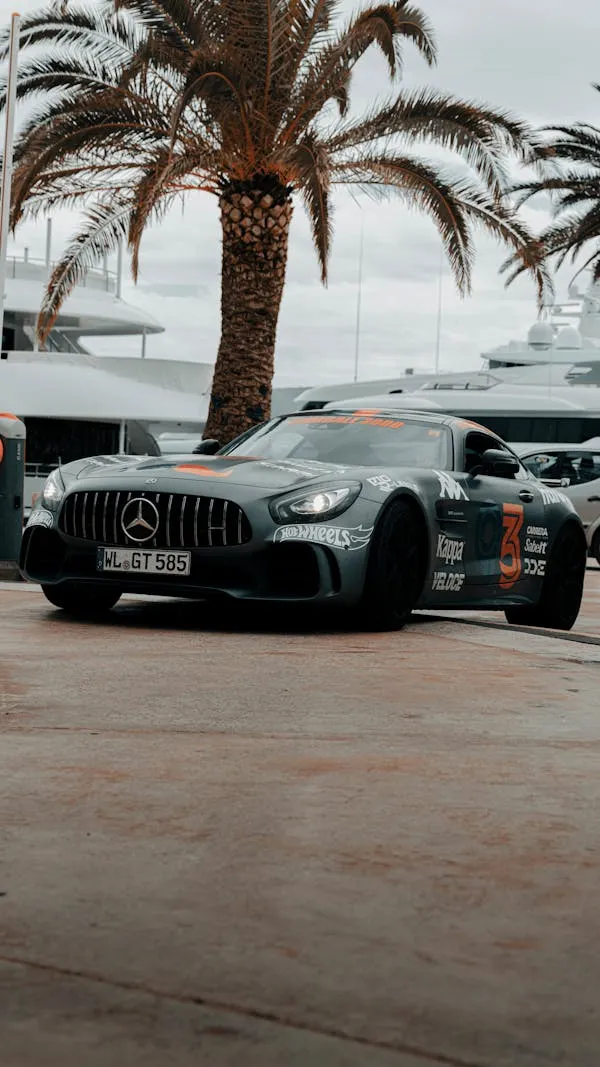 Mercedes AMG GT Roadster Near Palm Trees and Beach
