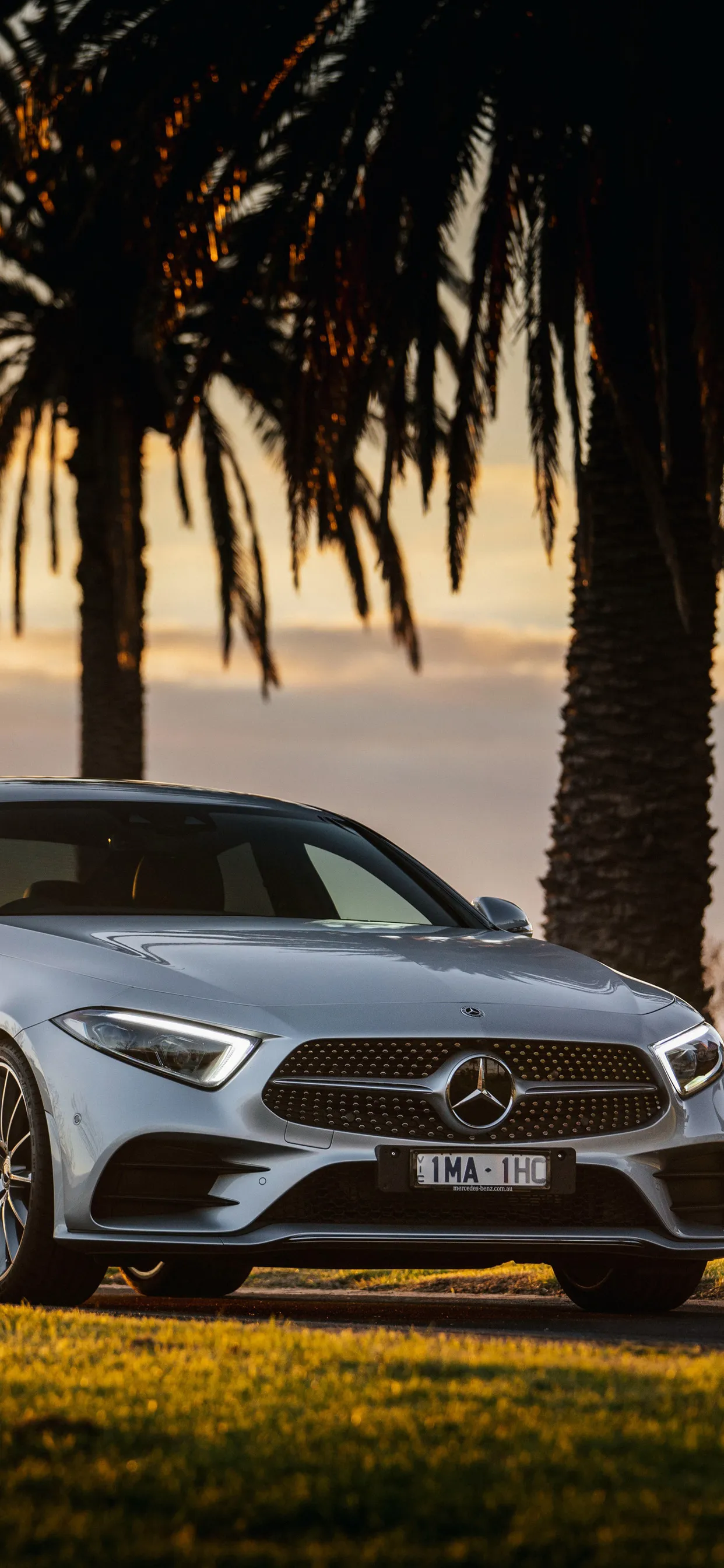 Mercedes Benz Convertible with Palm Trees at Sunset image