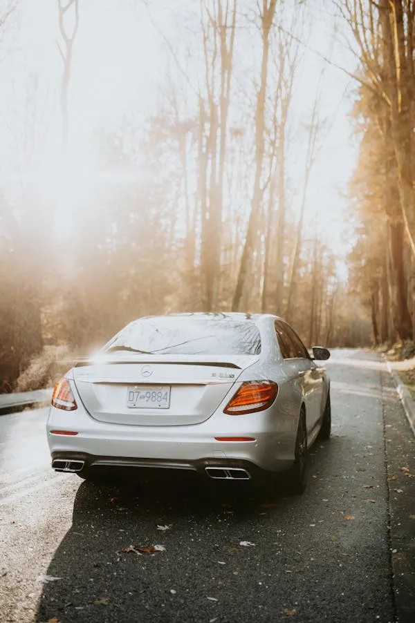 Mercedes Benz Driving Away on Foggy Forest Road image