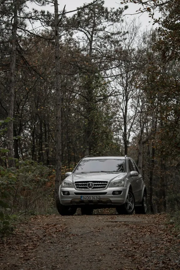 Mercedes Benz Driving Through Forest Path in Autumn image