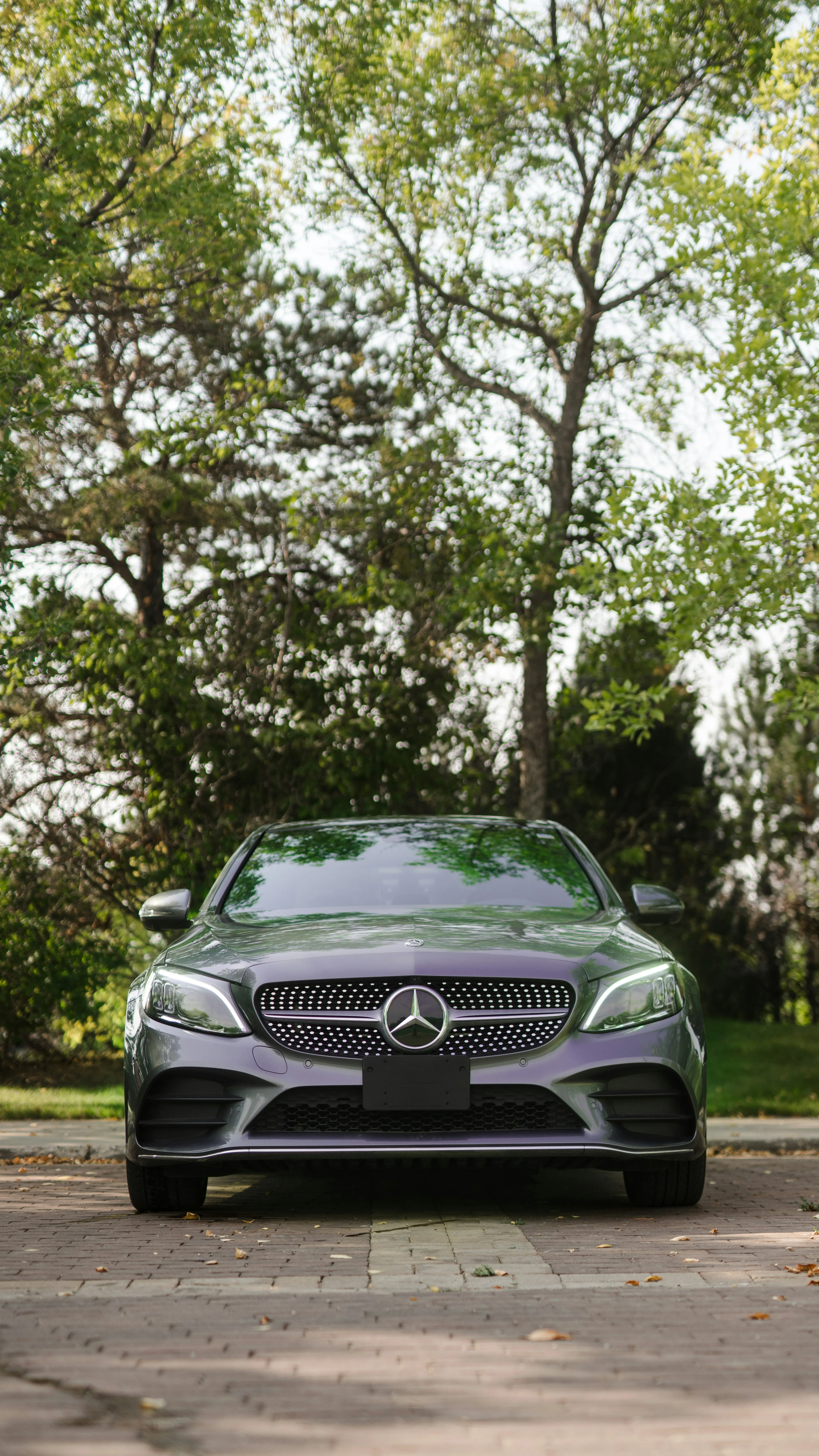 Mercedes Benz Parked Outdoors in Tree Shadows Wallpaper
