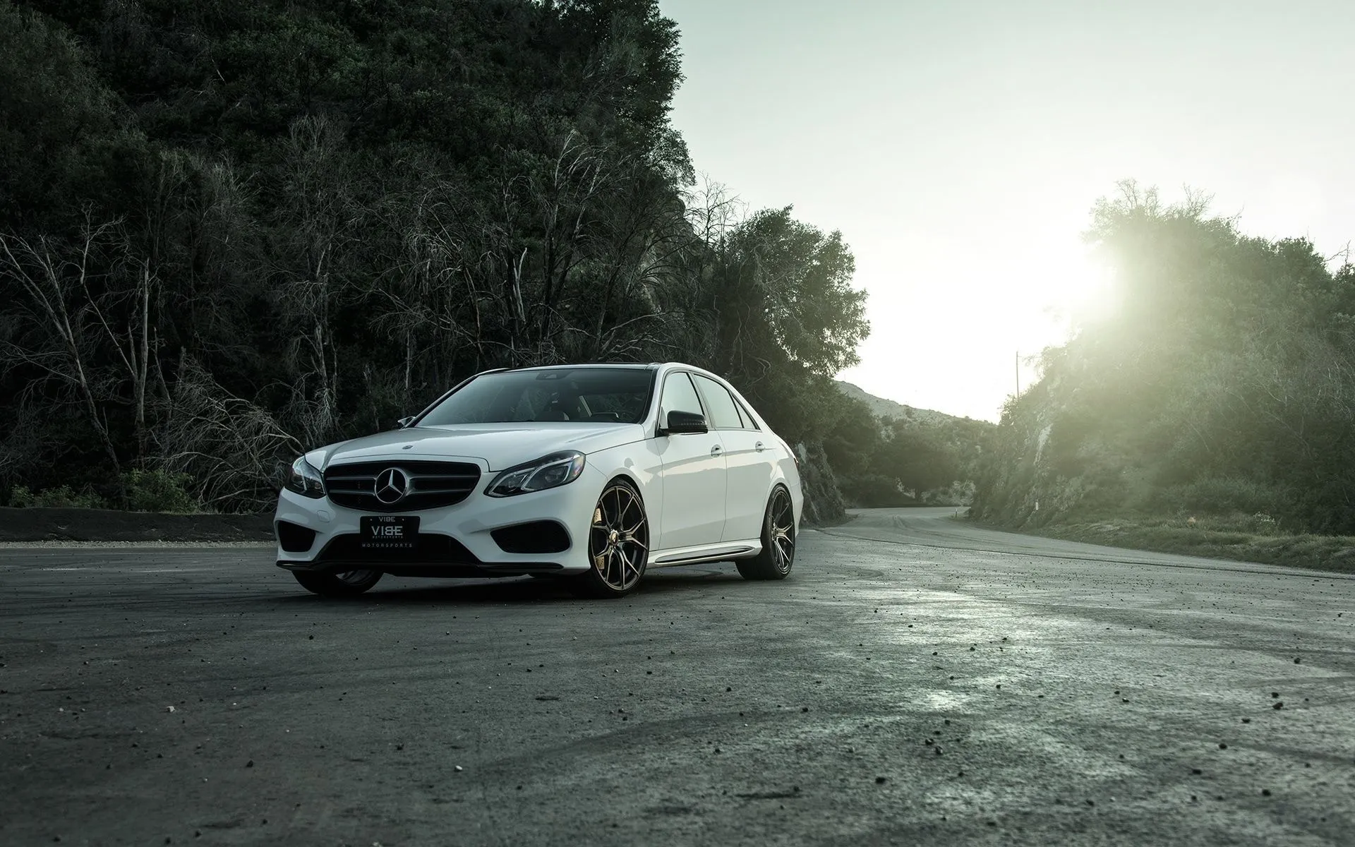 Mercedes Benz Sedan on Scenic Road with Trees in View