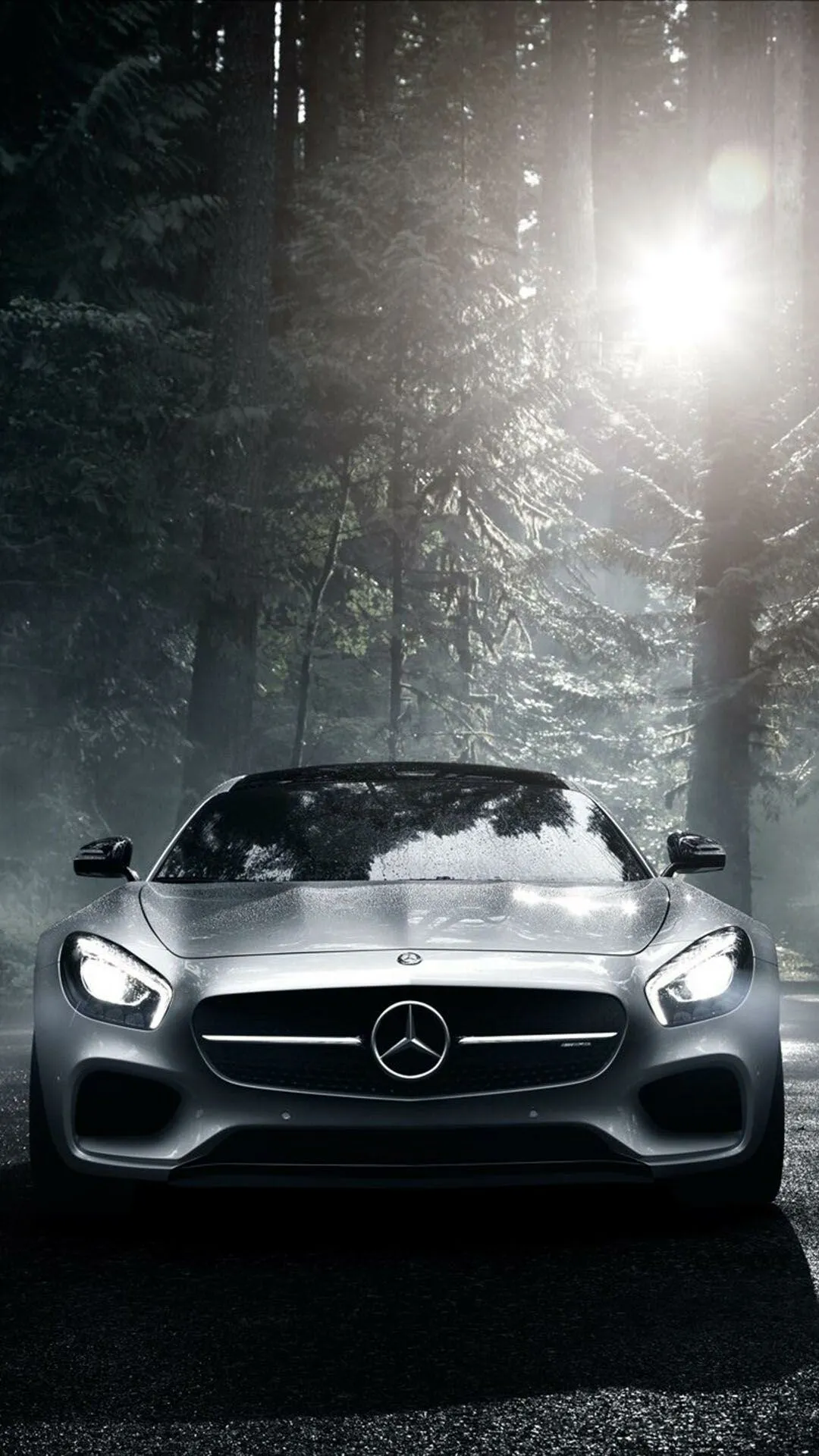 Mercedes Benz Silver Sports Car Driving Through Forest