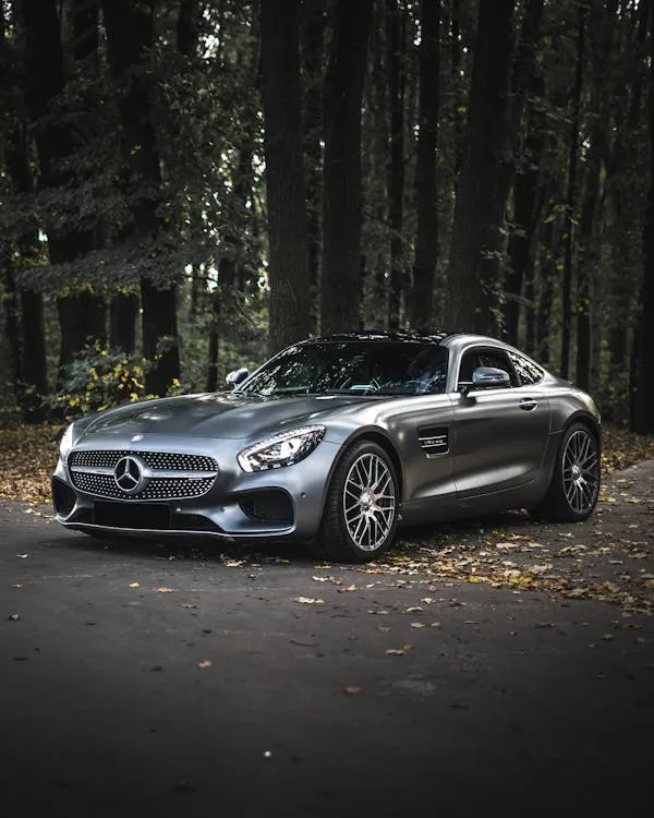 Mercedes Benz Sports Car in Serene Forest Setting 4K image