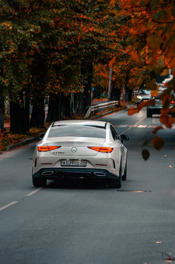 Mercedes Benz Sports Car on Autumn Forest Road Wallpaper