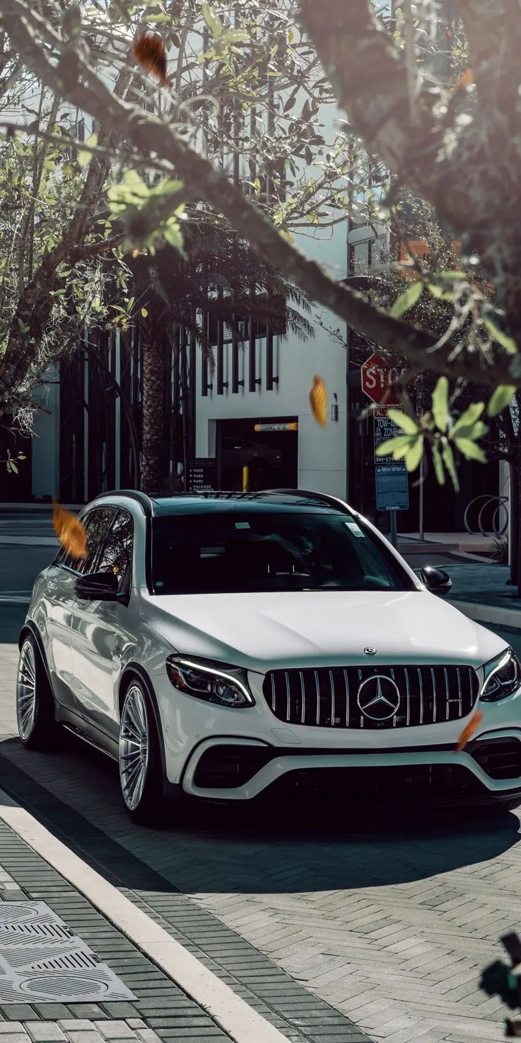 Mercedes Benz SUV Parked Near City Cafe with Trees image