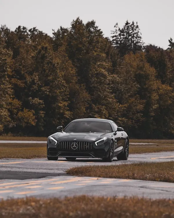 Mercedes sports car driving on a forest road at dusk