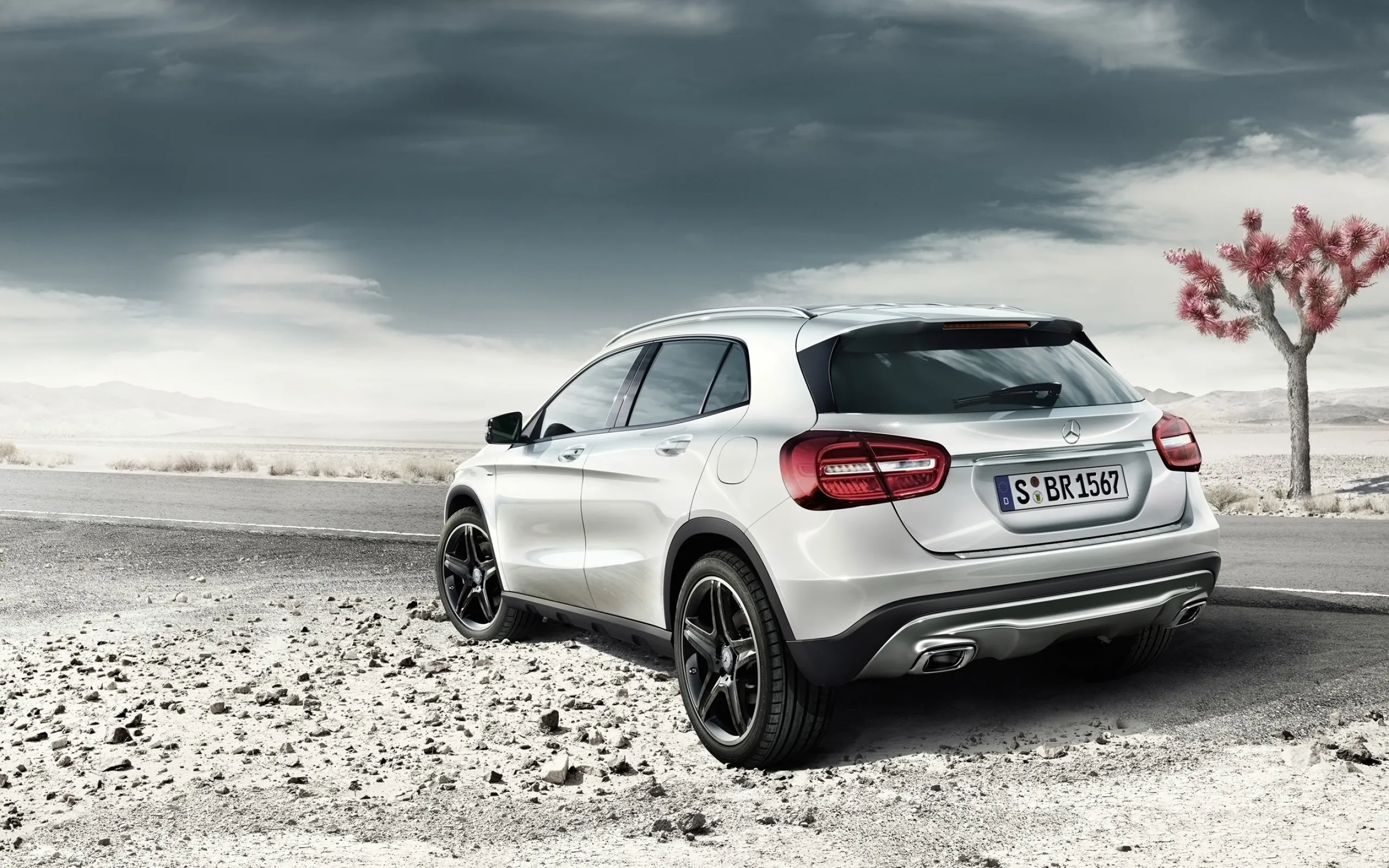 Mercedes SUV Driving Through Desert with Blossoms Nearby