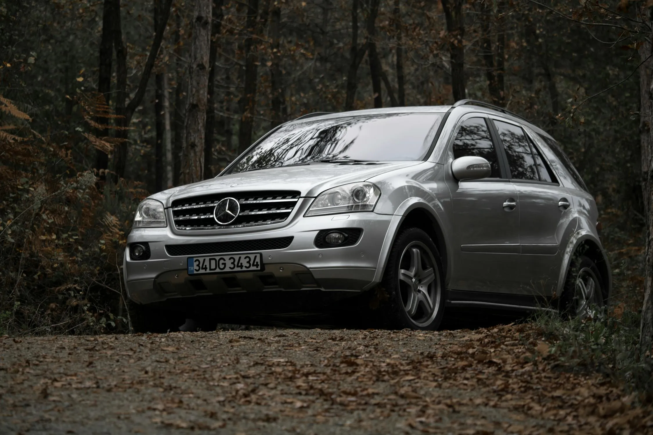 Mercedes SUV Posed in Forest with Autumn Leaves image