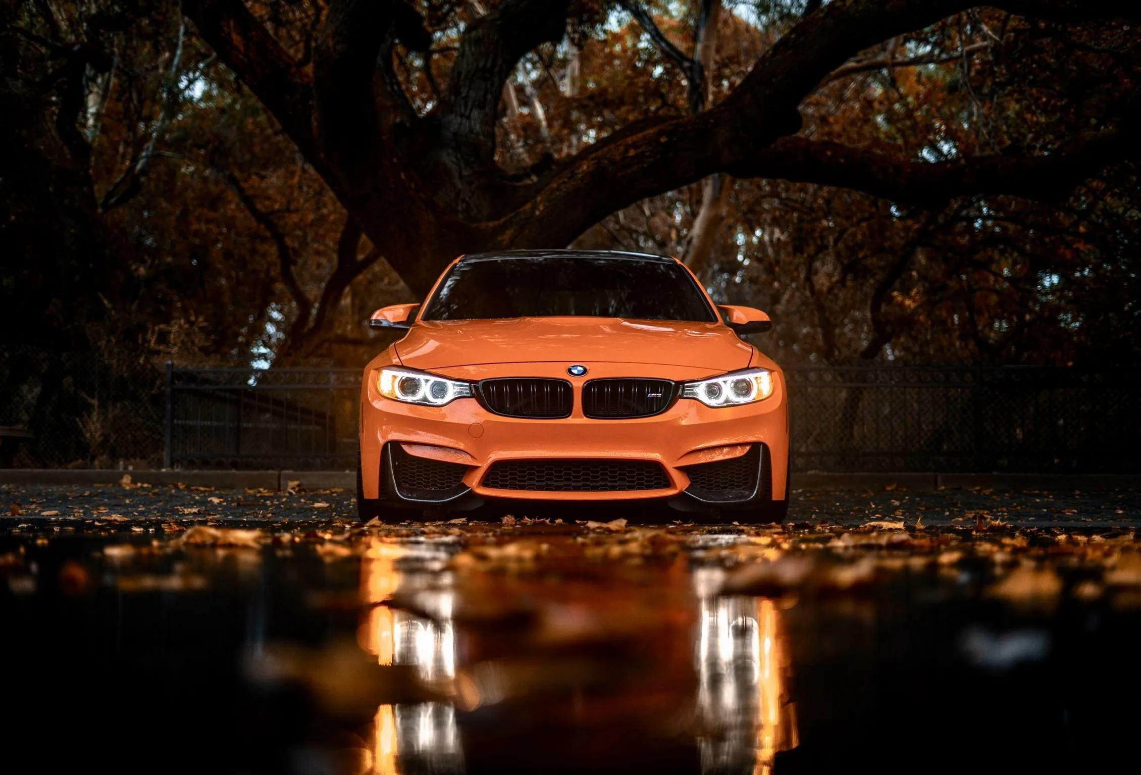 Orange Bmw Sports Car Reflected on Wet Surface at Night