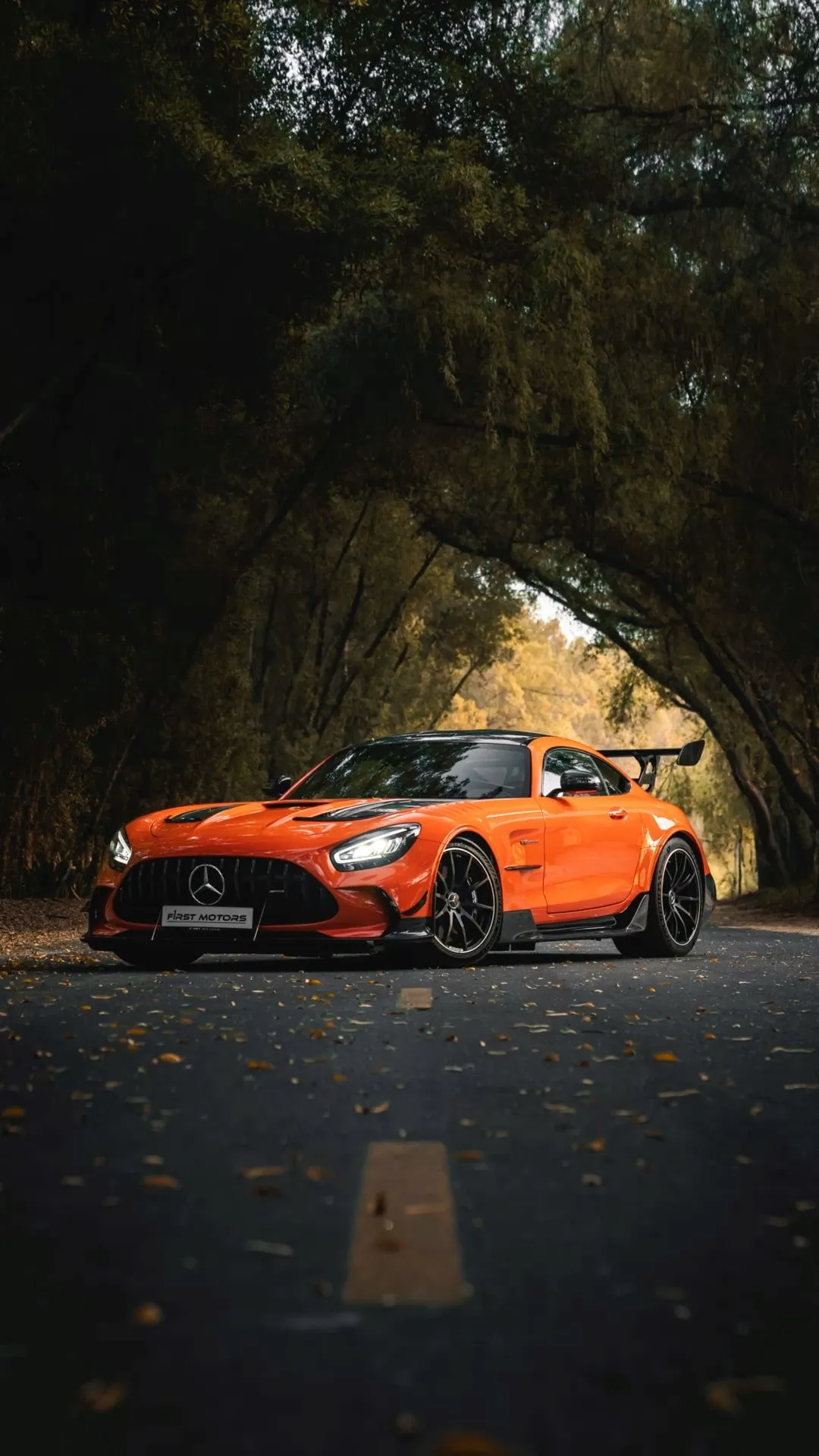Orange Mercedes Benz Driving Through Forest Tunnel
