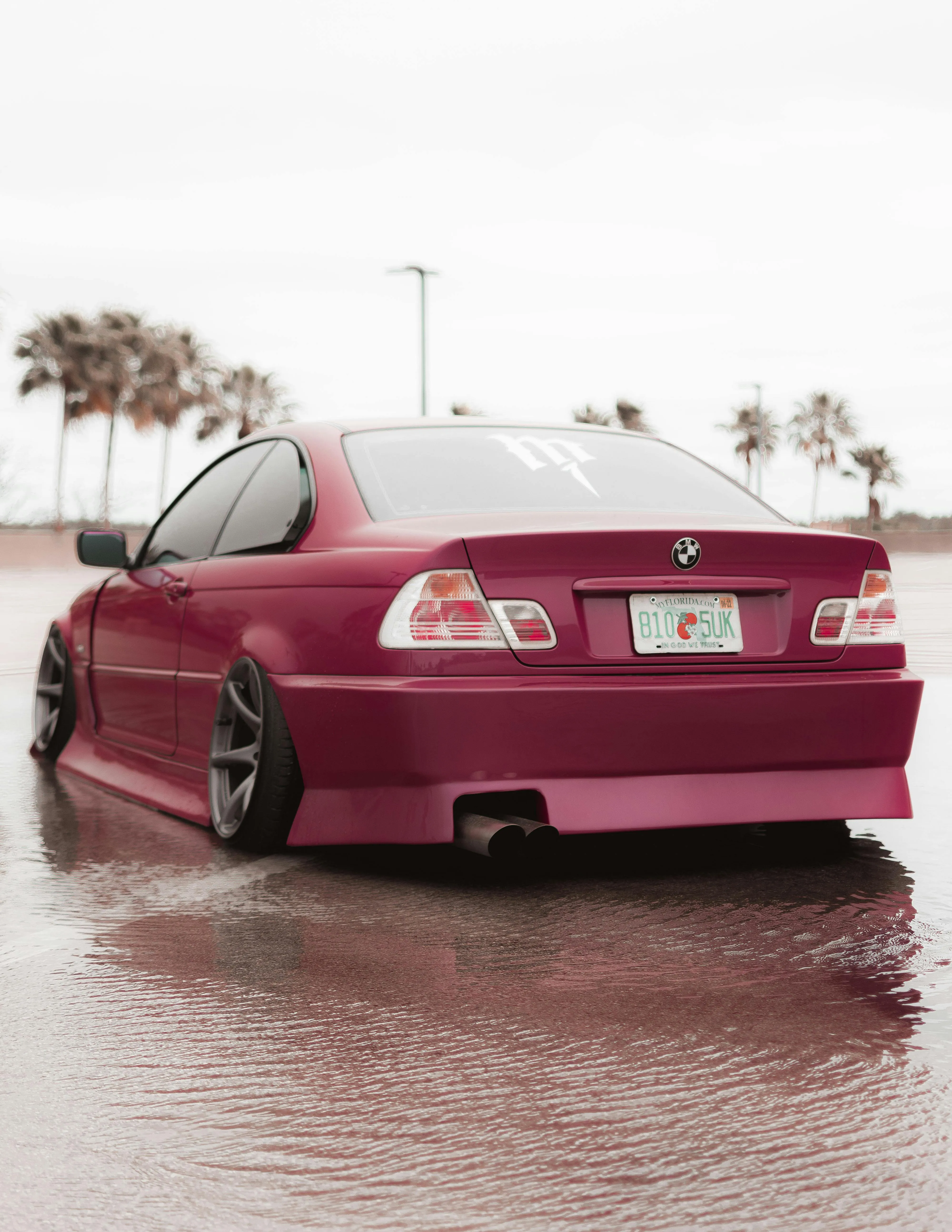 Pink Bmw Sedan Parked on Wet Surface Near Palm Trees