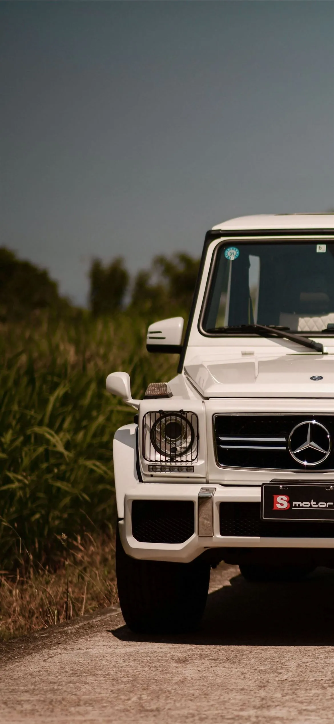 Portrait image of White G Wagon Mercedes Parked Near Trees