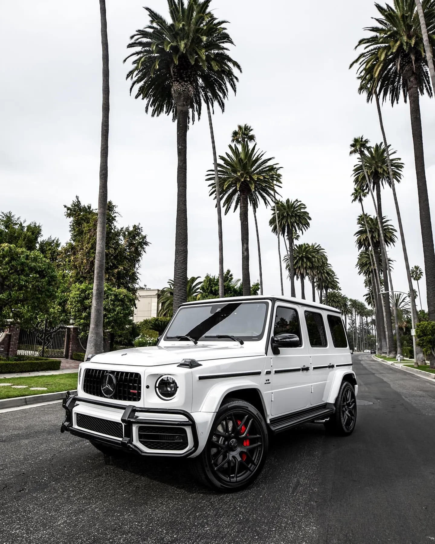 Powerful White Mercedes G Wagon Drives Through Palm Trees