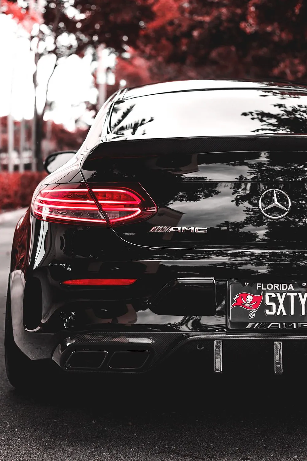 Rear View of AMG Mercedes in Scenic Autumn Background
