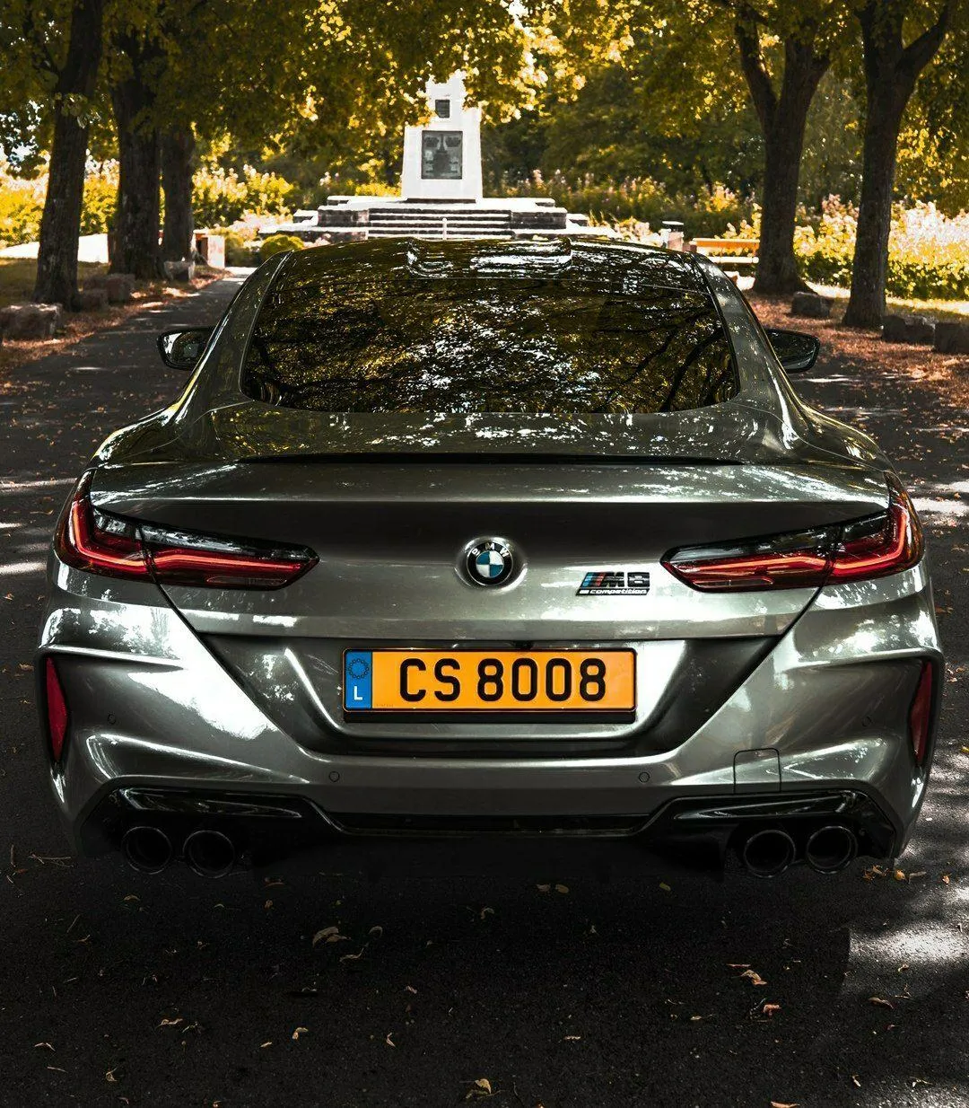 Rear View of Black Bmw Car Parked Under Autumn Trees