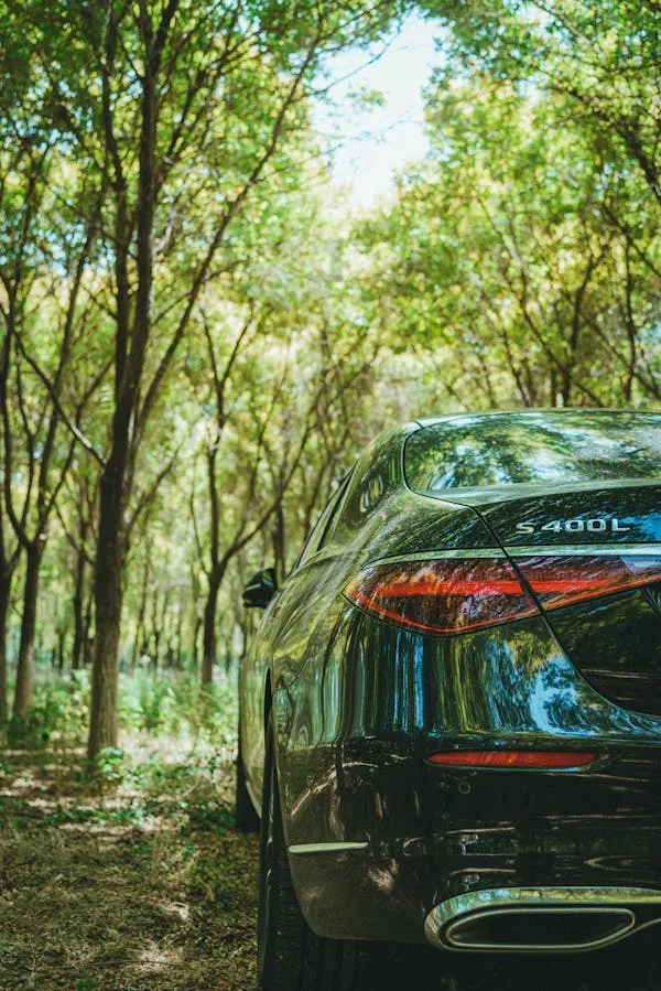 Rear View of Black Mercedes Benz Among Green Trees image