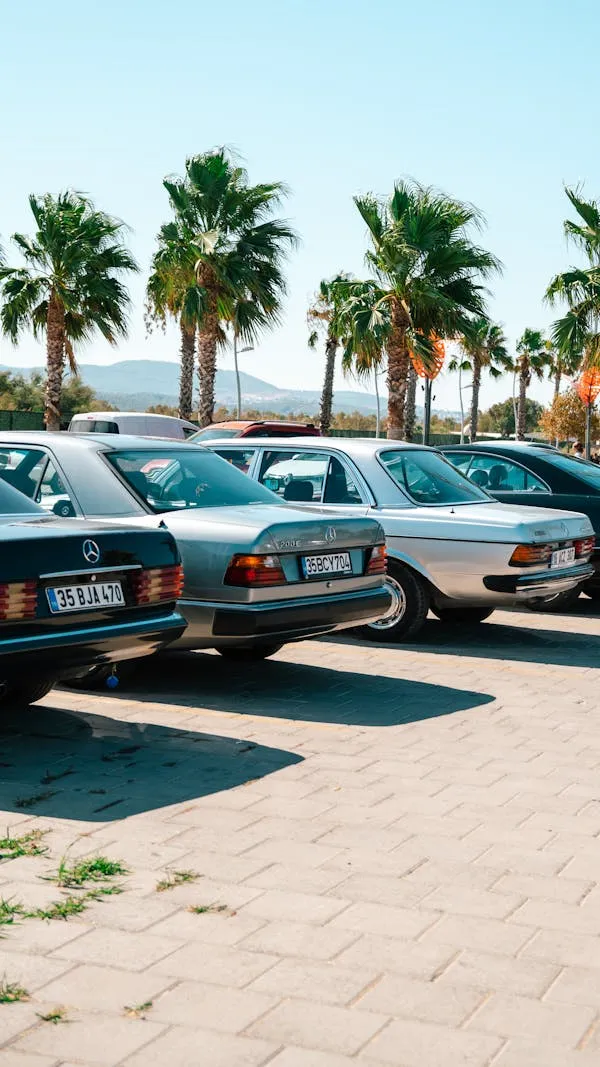 Rear View of Classic Mercedes Cars in Sunny Lot Wallpaper