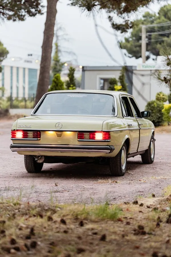 Rear view of classic Mercedes in peaceful outdoor setting