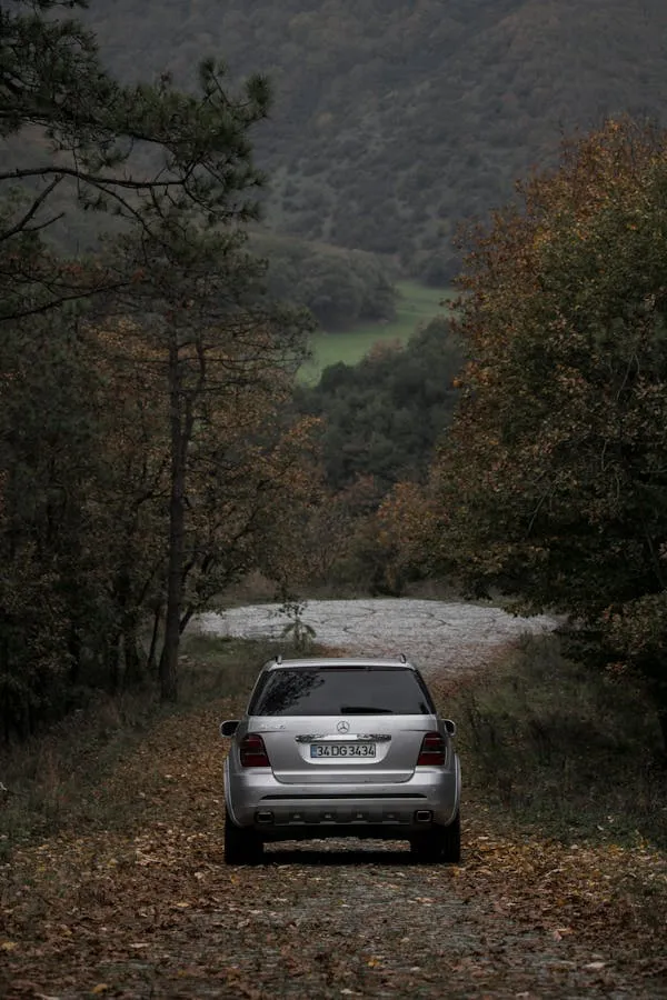 Rear view of Mercedes SUV in peaceful forest scenery