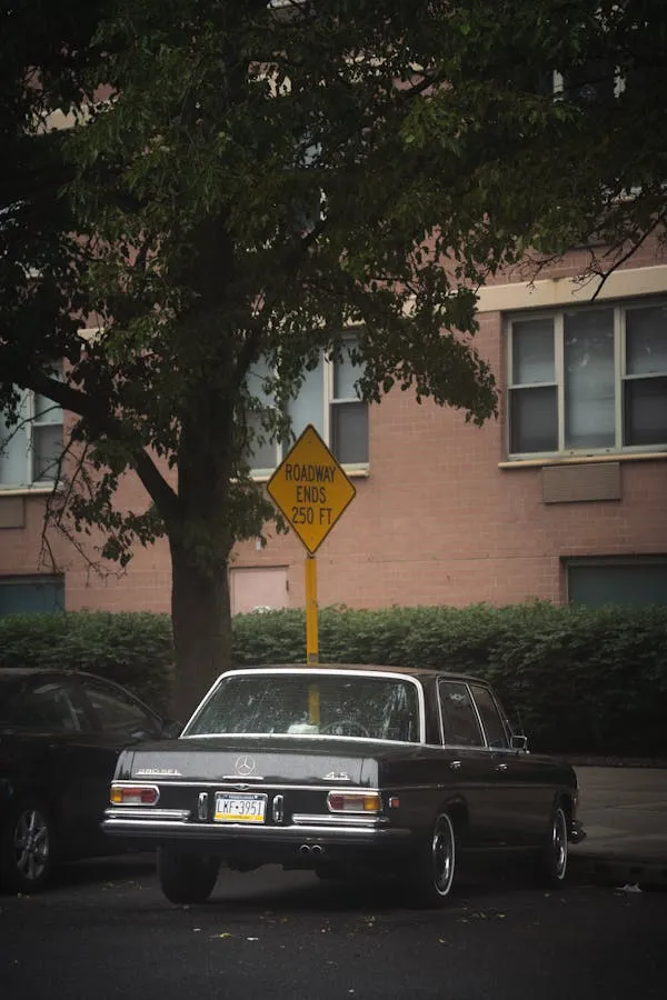 Rear View of Old Benz Car Under Tree Shade Wallpaper