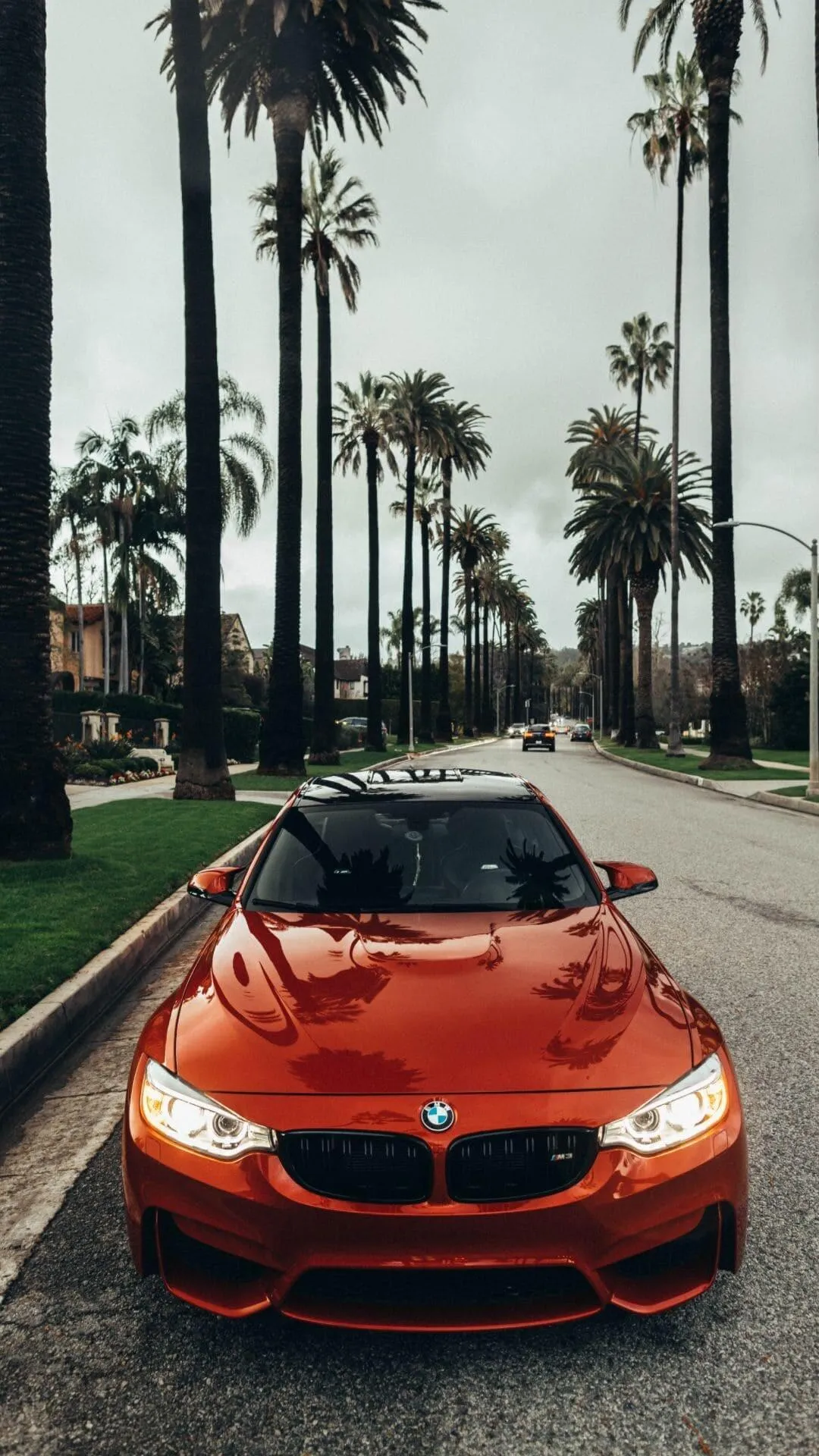 Red Bmw Car Driving Through Palm Tree Lined Street