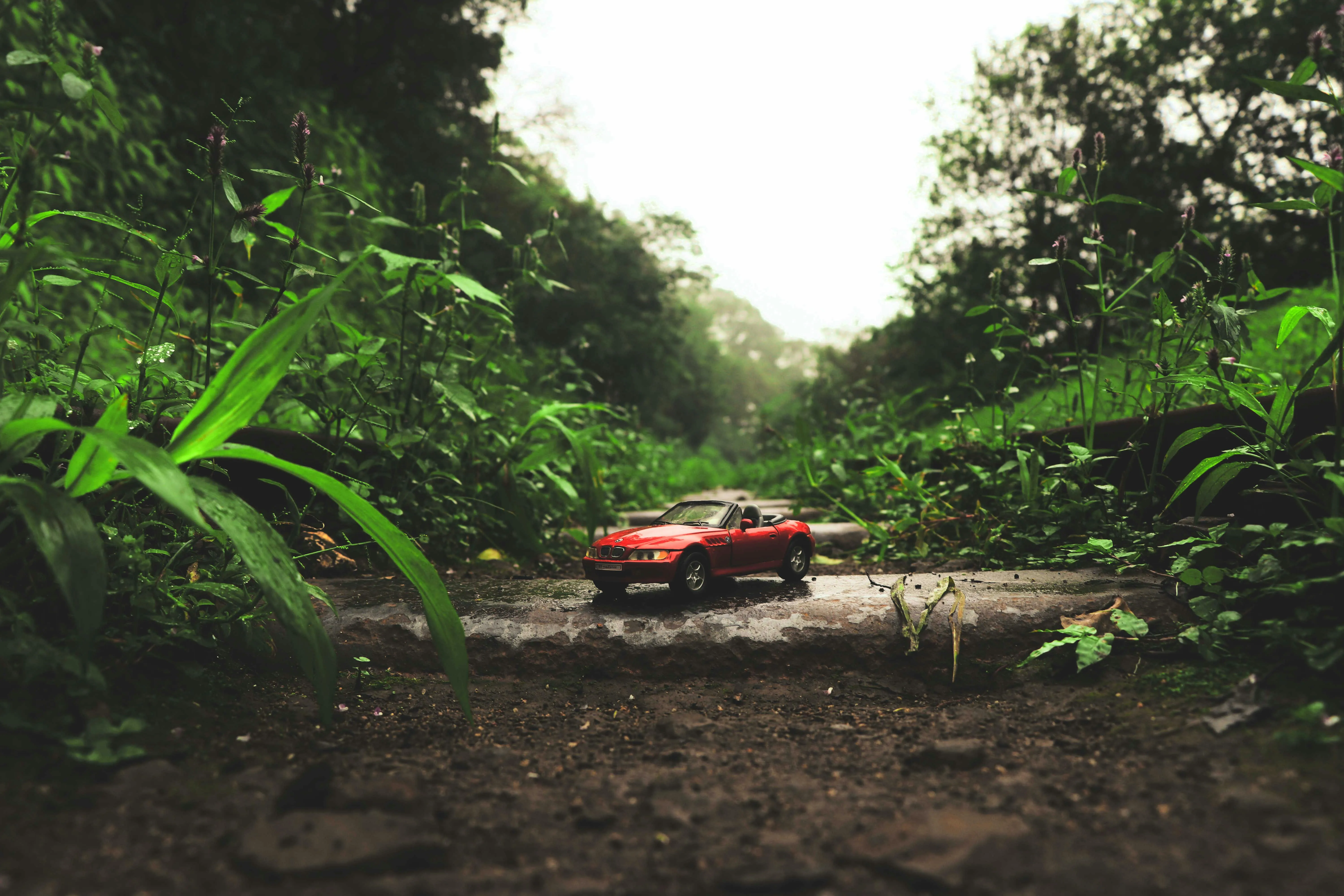 Red Bmw Driving on Muddy Jungle Path Surrounded By Green Trees