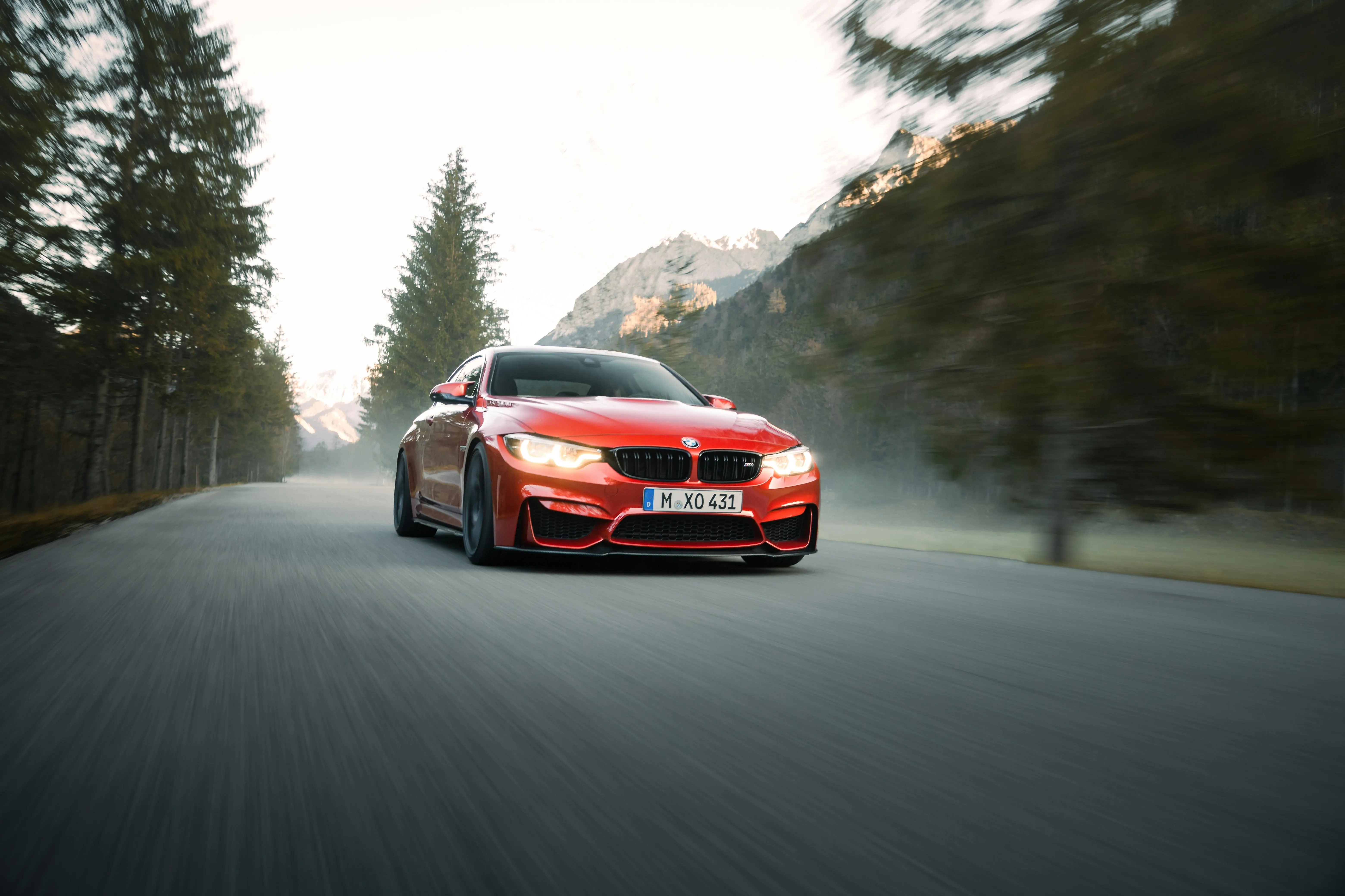 Red Bmw Driving Through Forest Road in Morning Light