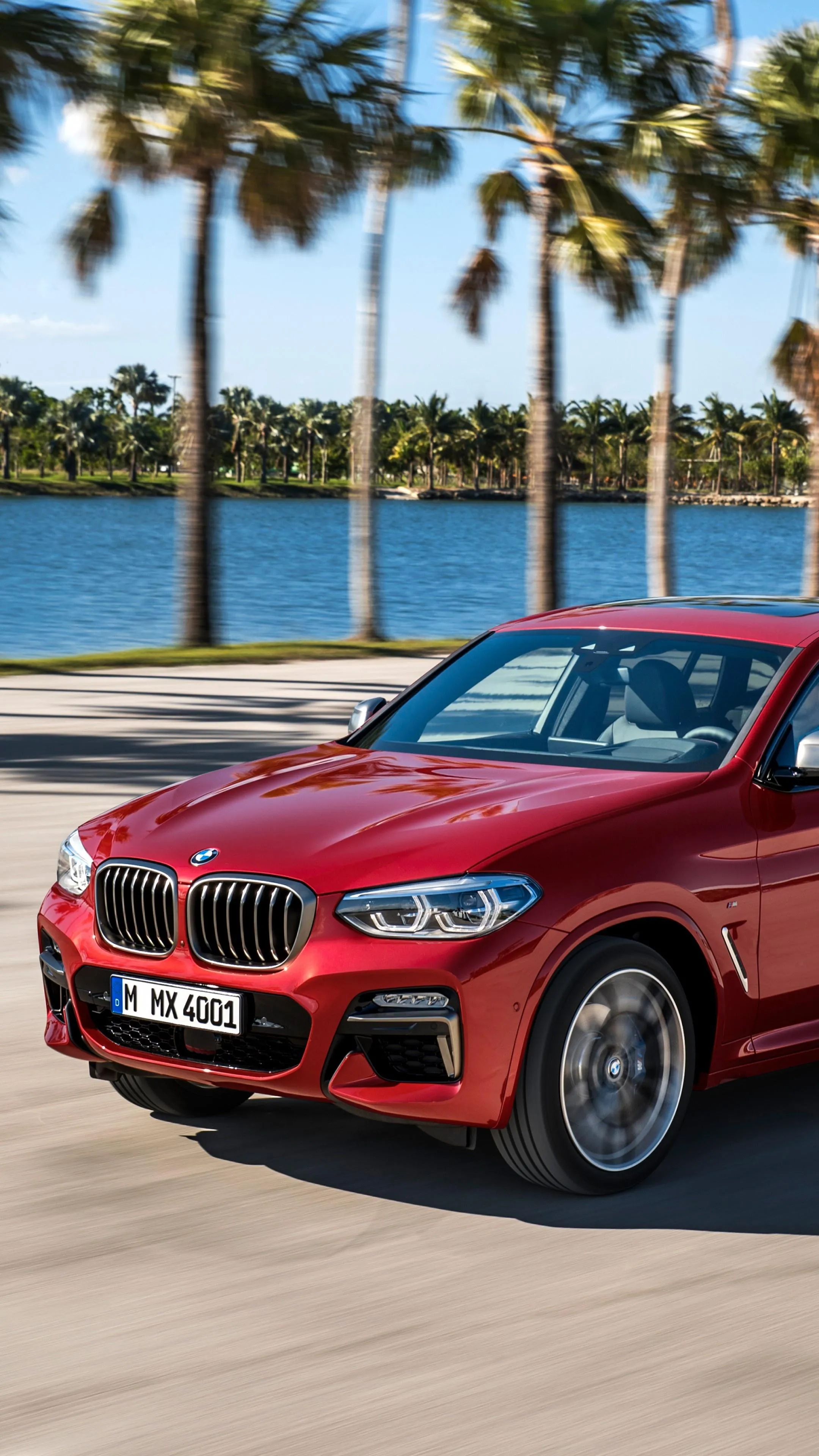 Red Bmw Near Palm Trees on a Sunny Coastal Road Image