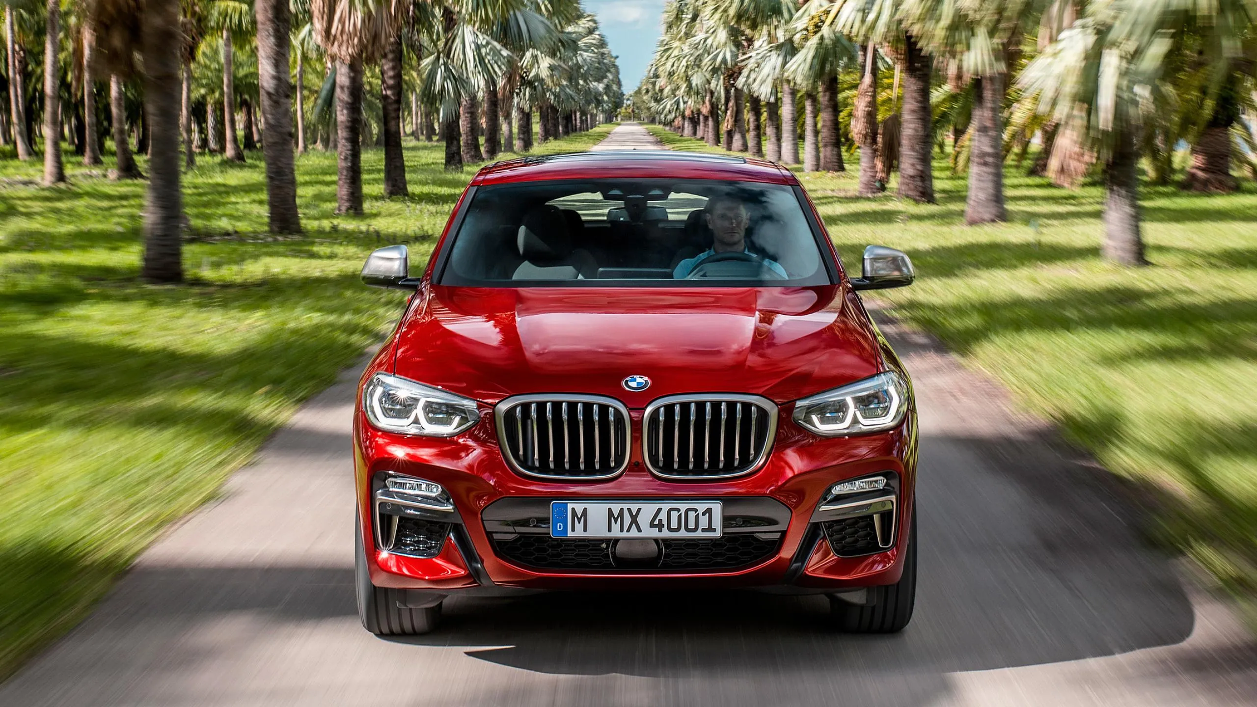 Red Bmw on Road Lined with Palm Trees on Sunny Day