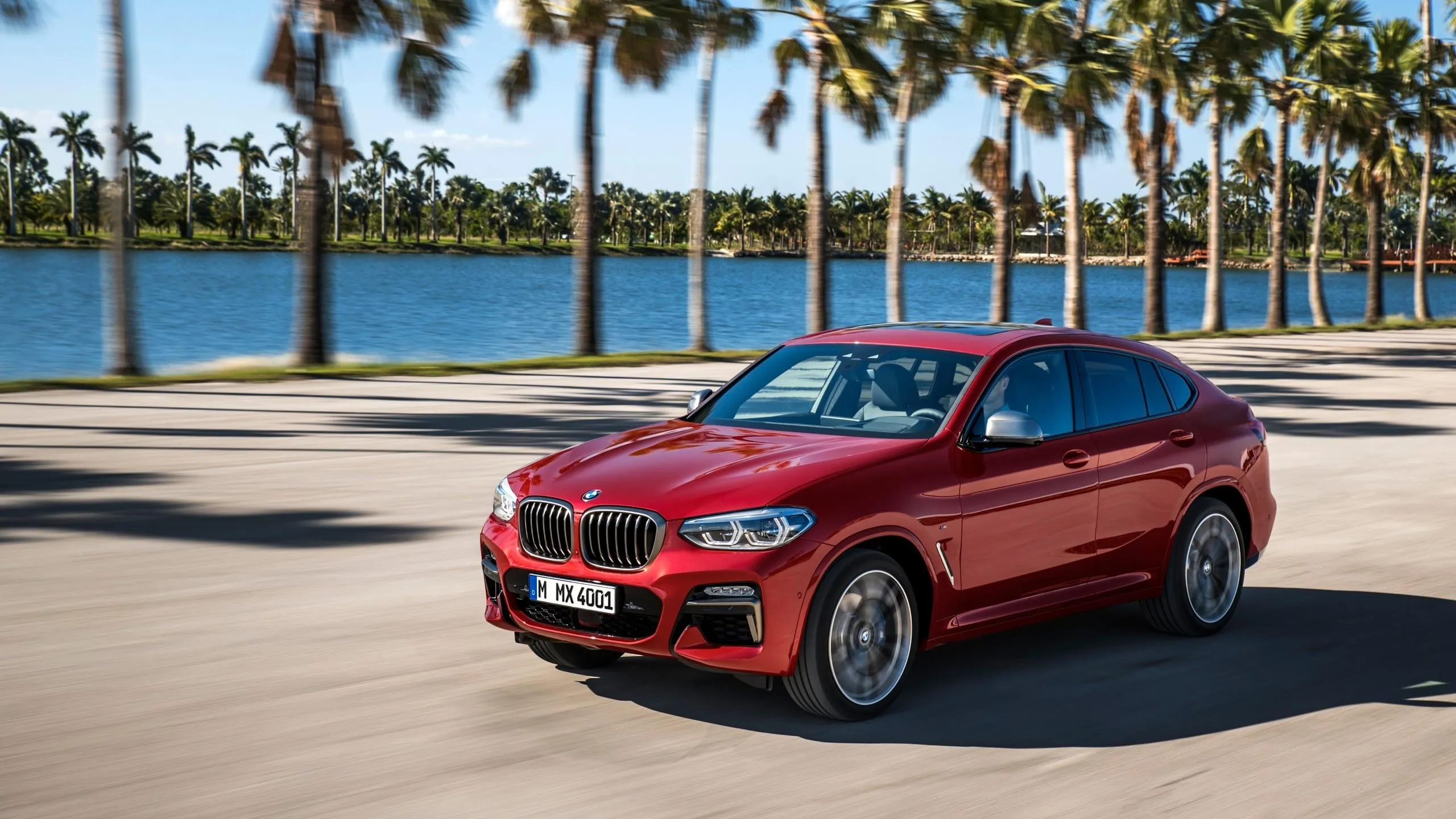 Red Bmw Parked Beside Palm Trees on a Sunny Beach Road