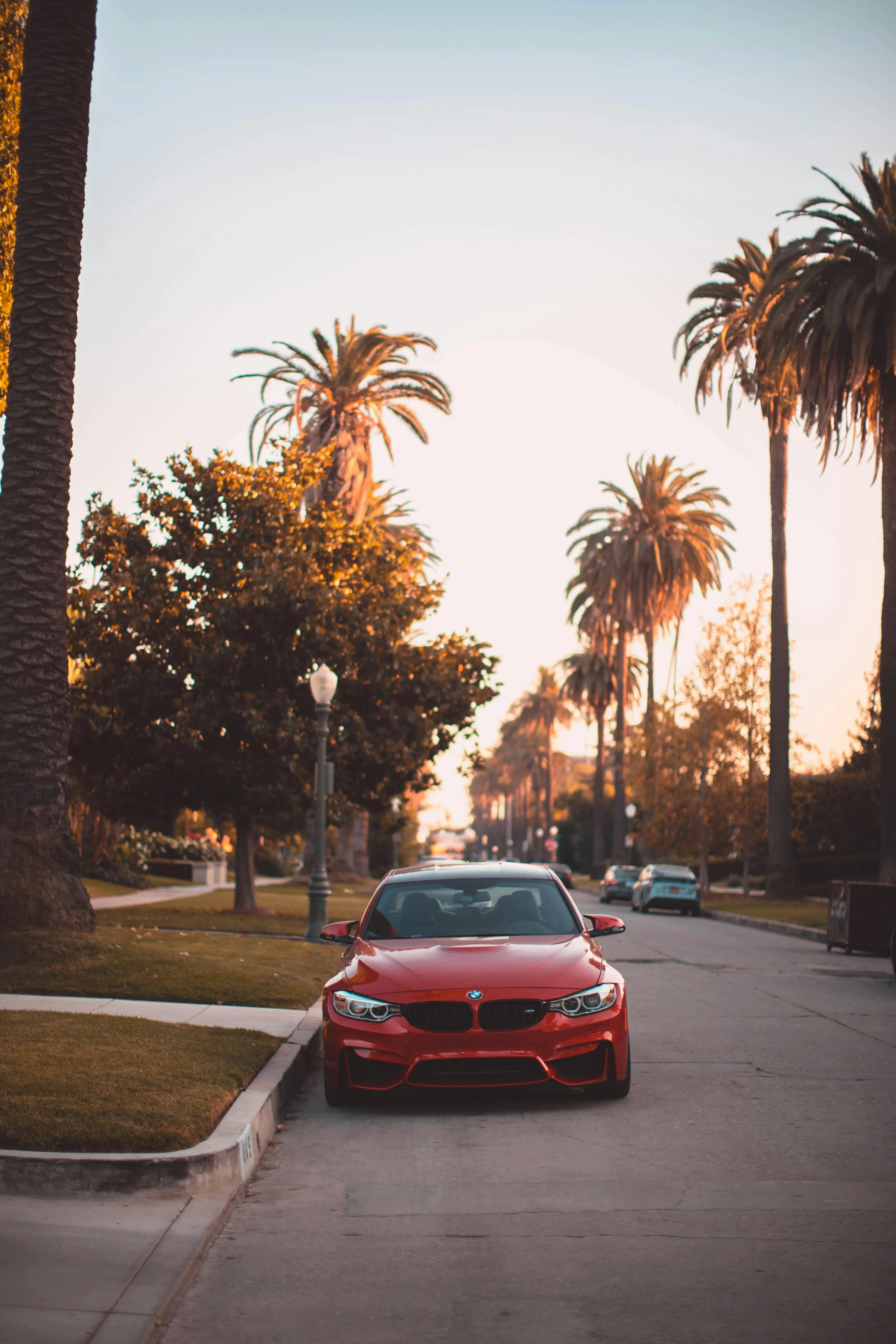 Red Bmw Parked on Palm-Lined Street Under Warm Evening Light