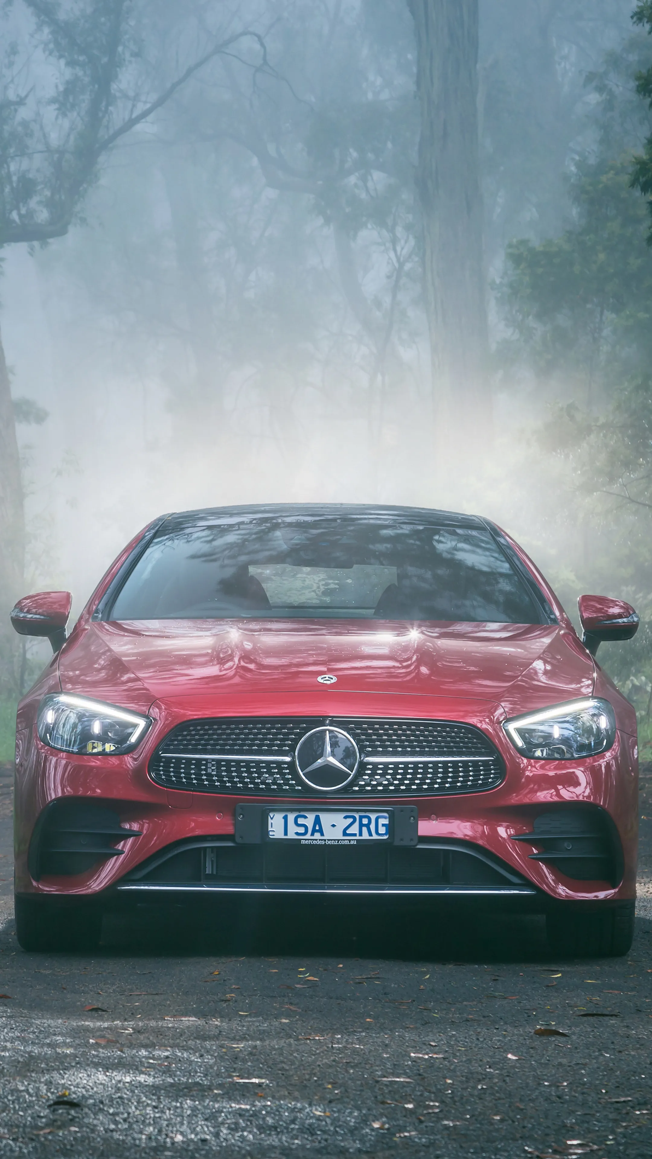 Red Mercedes Benz Car Driving Through Foggy Forest Wallpaper