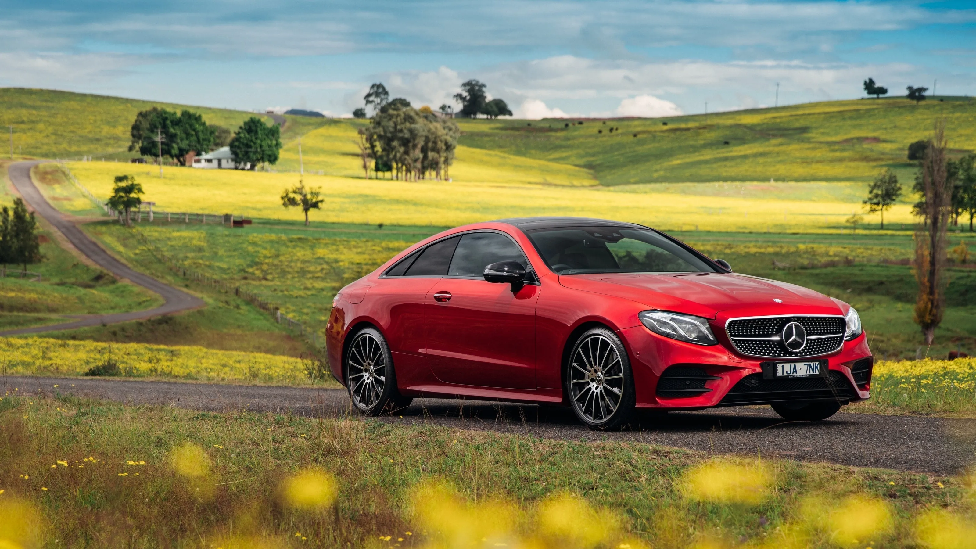 Red Mercedes Benz Coupe Driving Through Open Field image