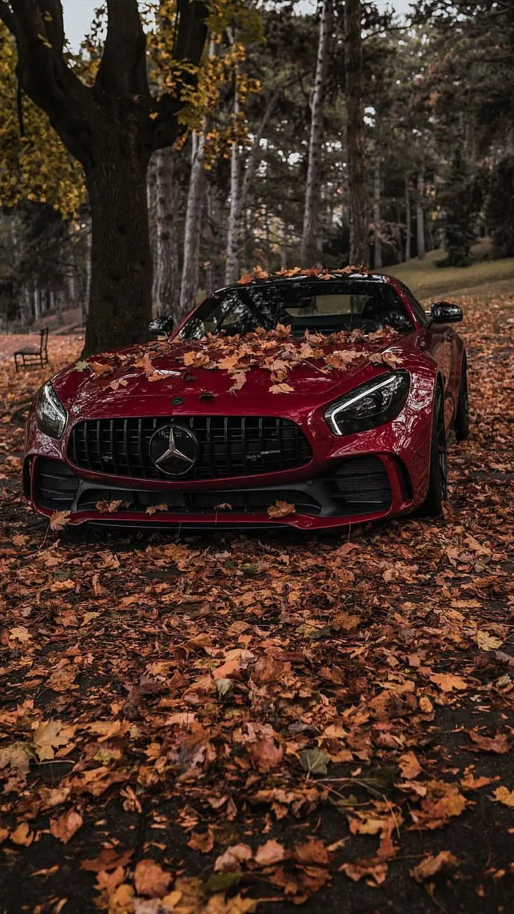 Red Mercedes Benz Parked on Autumn Leaves in Forest