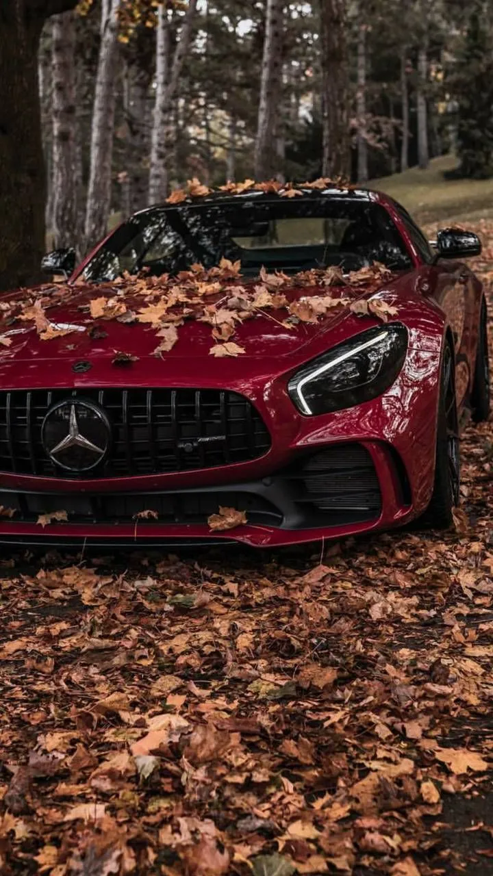 Red Mercedes Covered in Autumn Leaves in Forest Setting