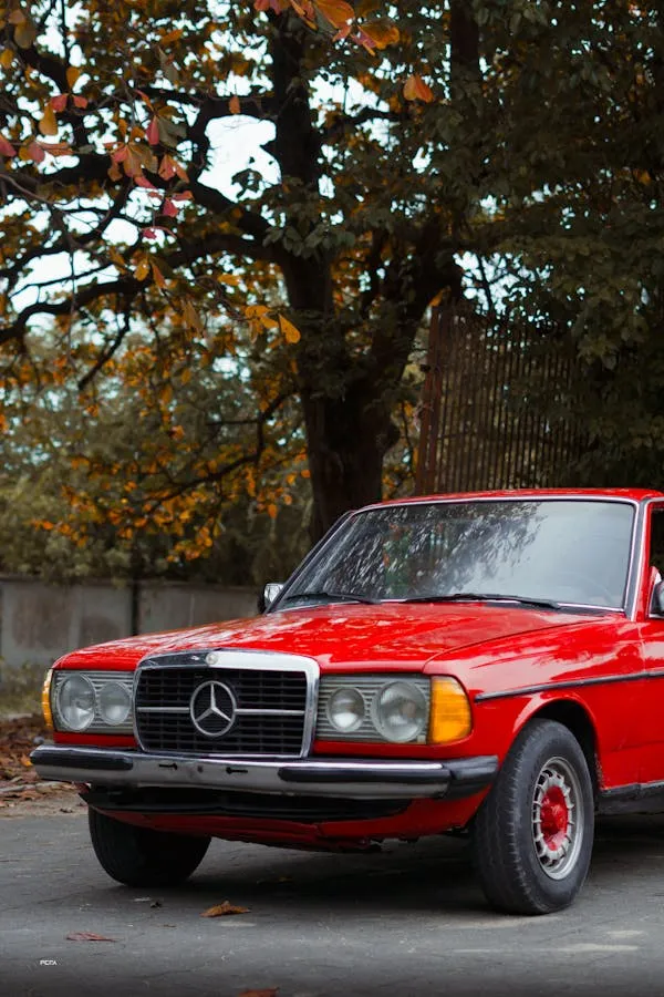 Red Vintage Mercedes Benz in Autumn Forest Setting